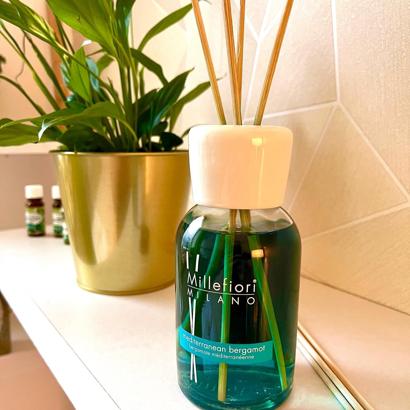 Masáže Momentum foto 3