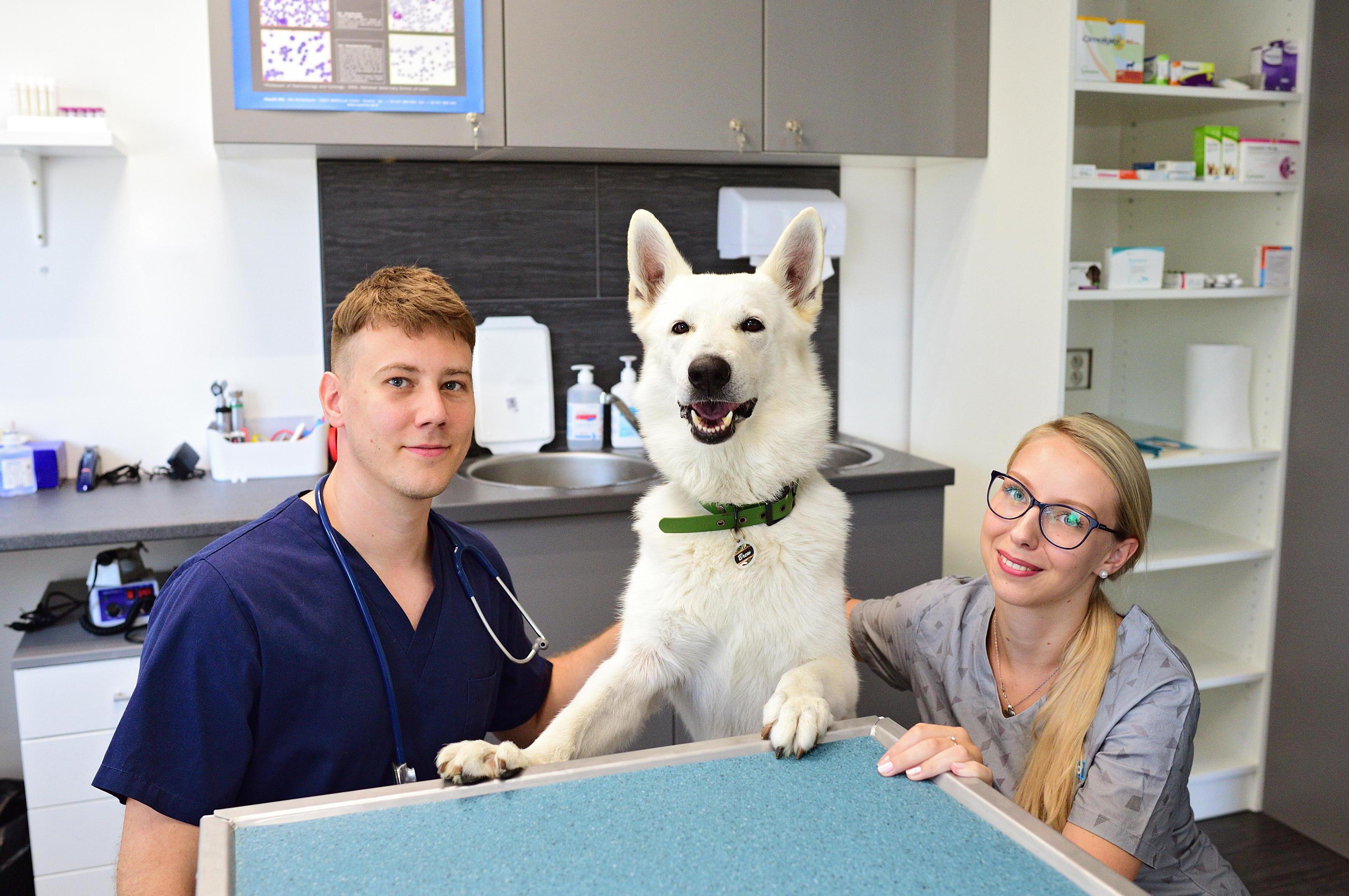 VET-PLUS veterinární klinika