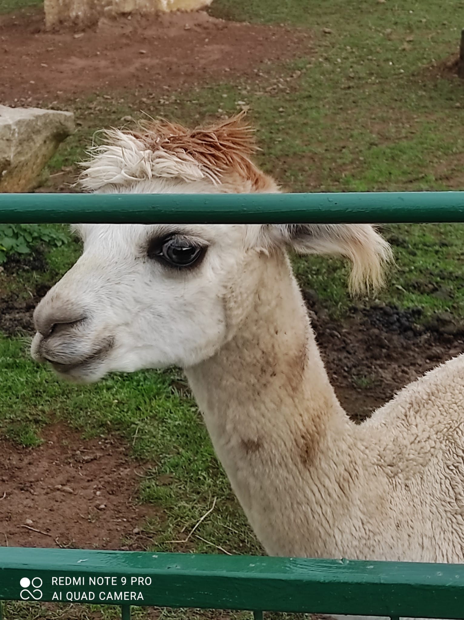 FARMA WENET BROUMOV foto 6