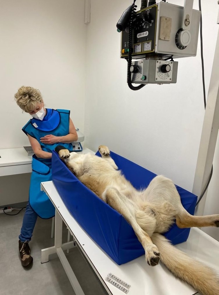 Veterinární ordinace VET-S foto 3