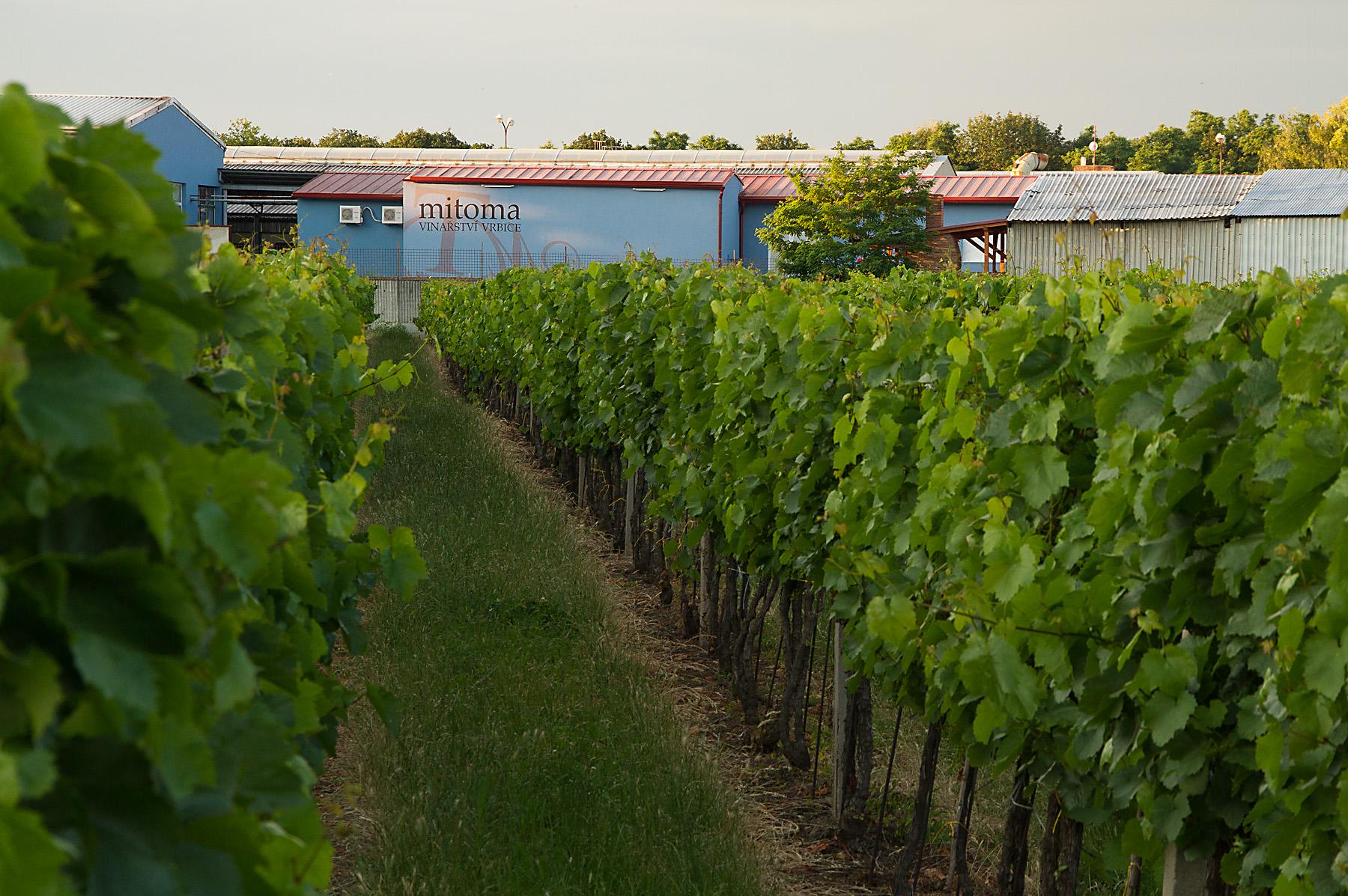 Vinařství Mitoma Vrbice s.r.o.