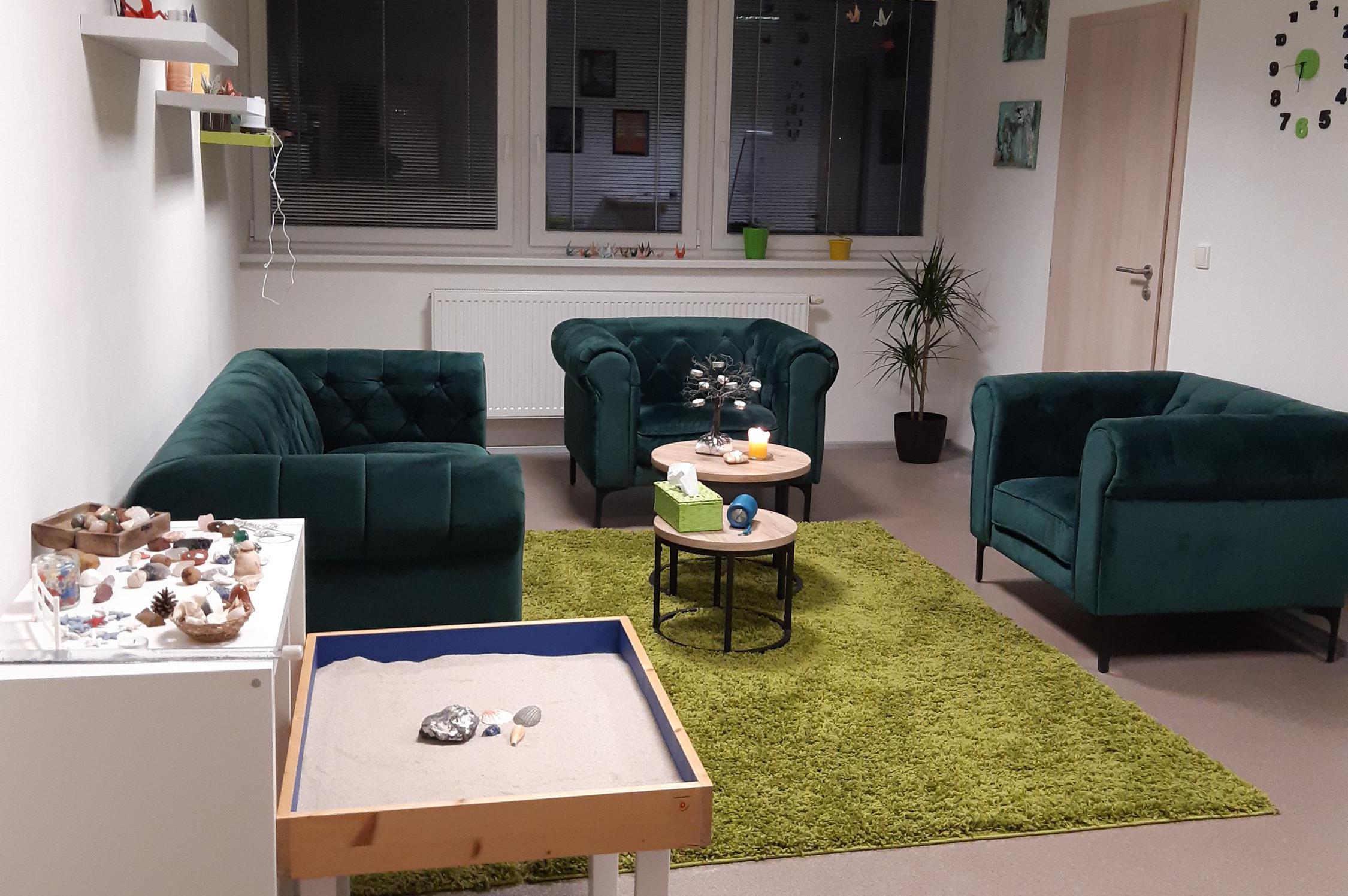 Poradna Boskovice, Martina Jínková