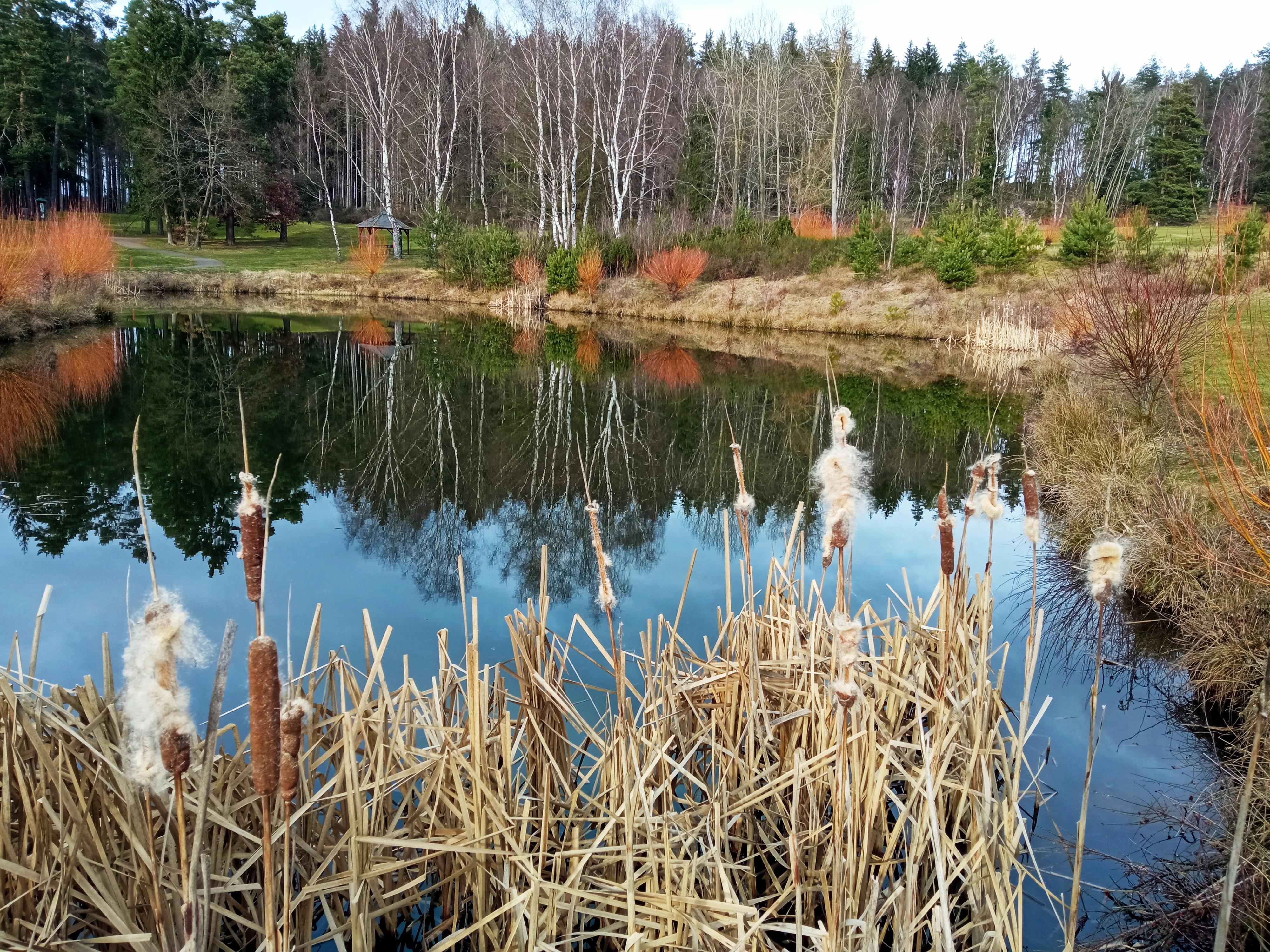Golf Resort Karlovy Vary foto 2