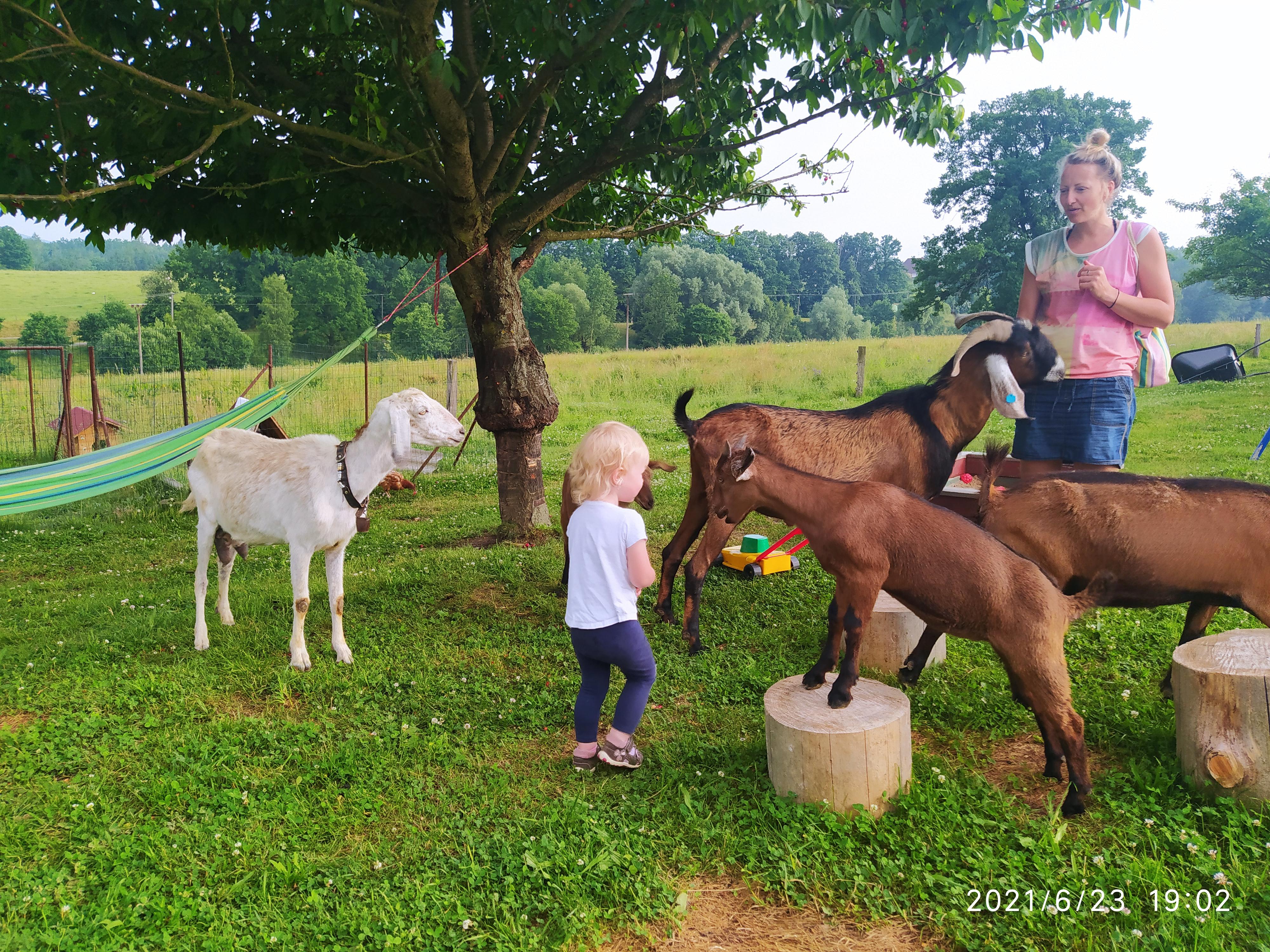 Farma na Kopečku foto 6