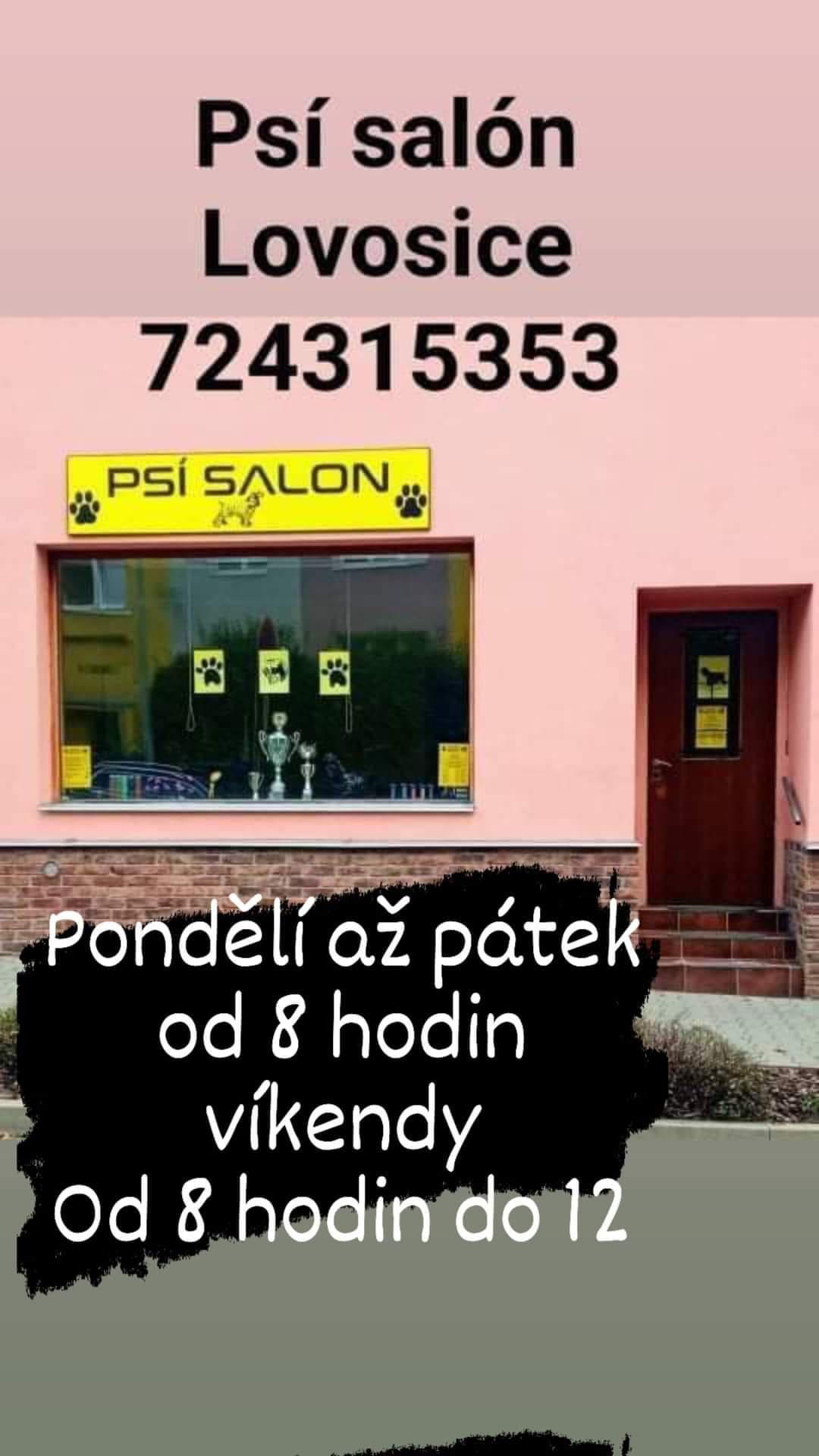 Psí salon Lovosice foto 4