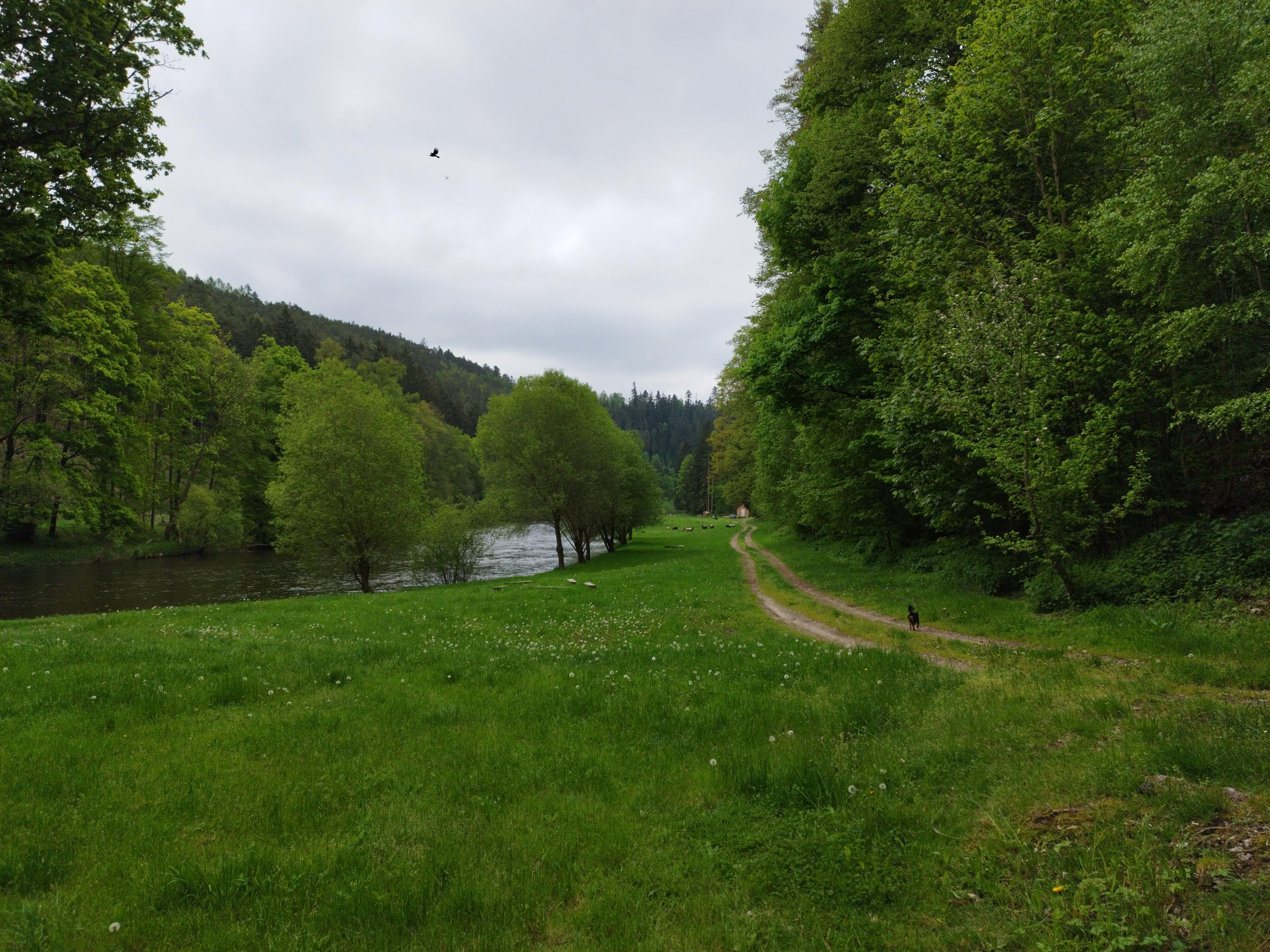 Tábořiště a občerstvení Marina foto 5