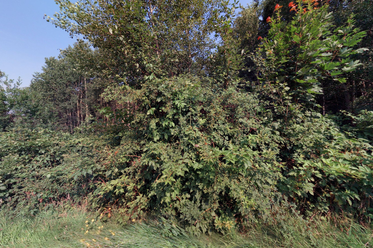 Střelnice Varnsdorf foto 2