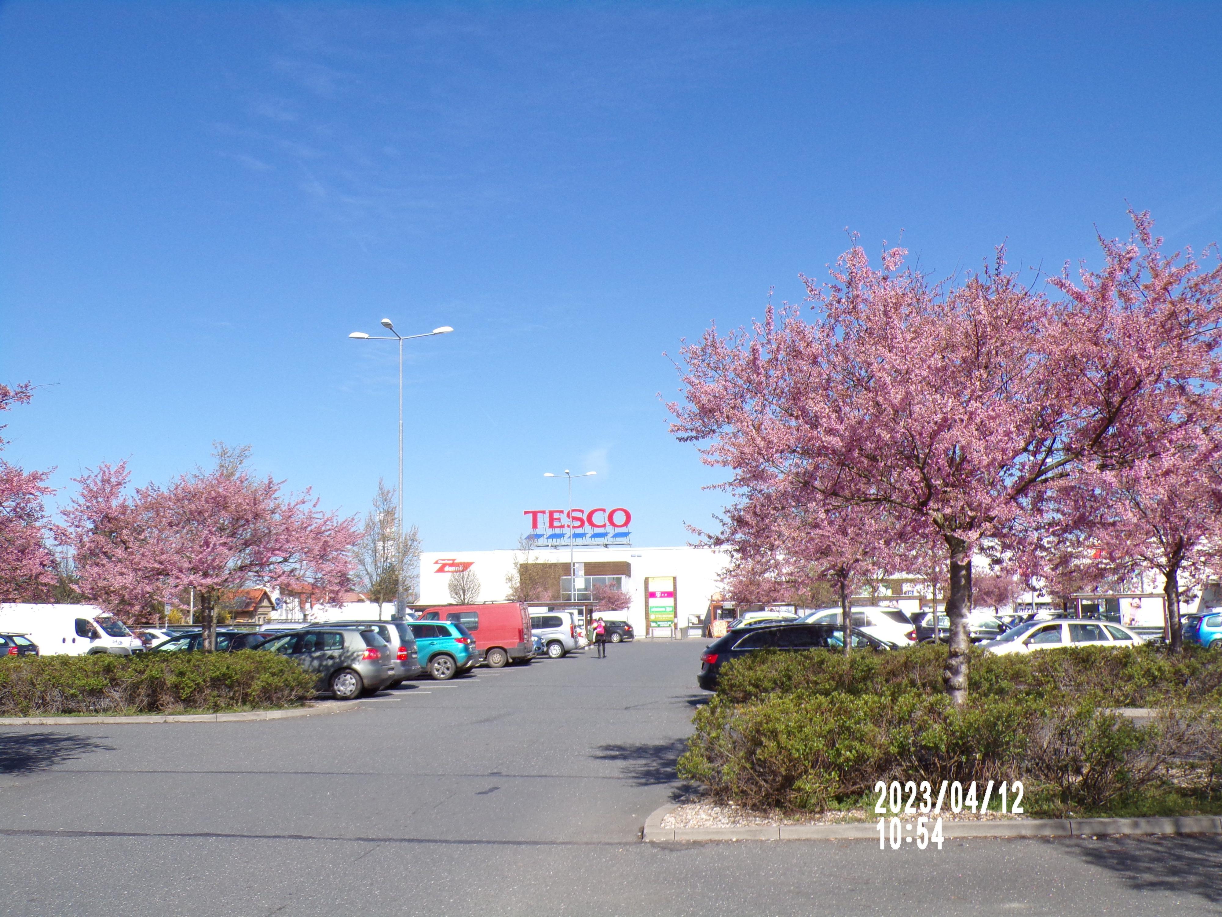 Tesco foto 5