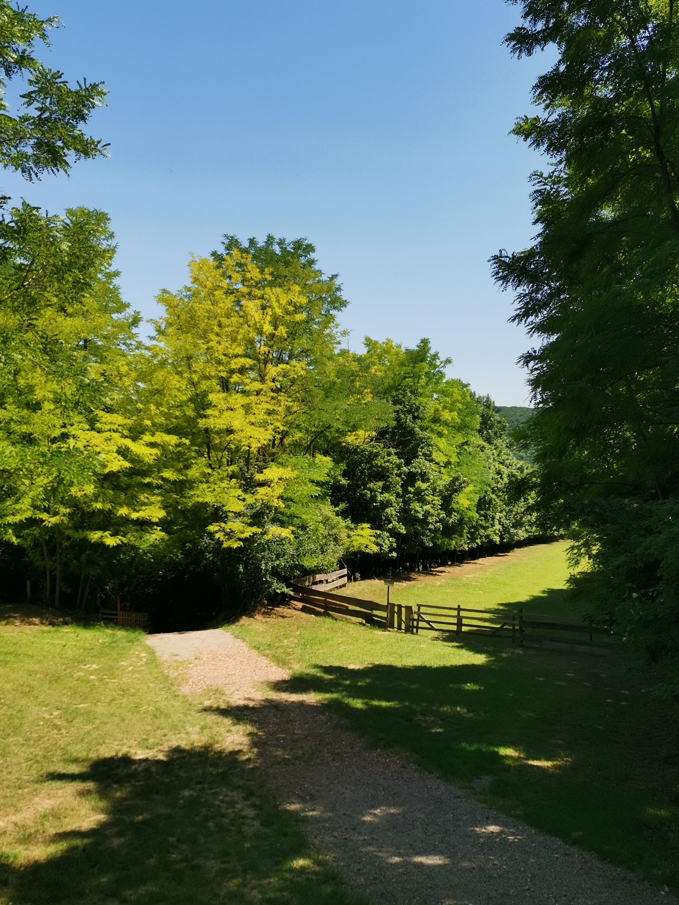 Restaurace Ovčí Terasy foto 4