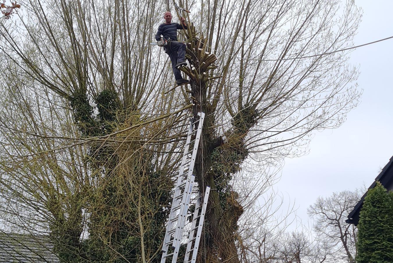 Šándor - Zahradnicke služby