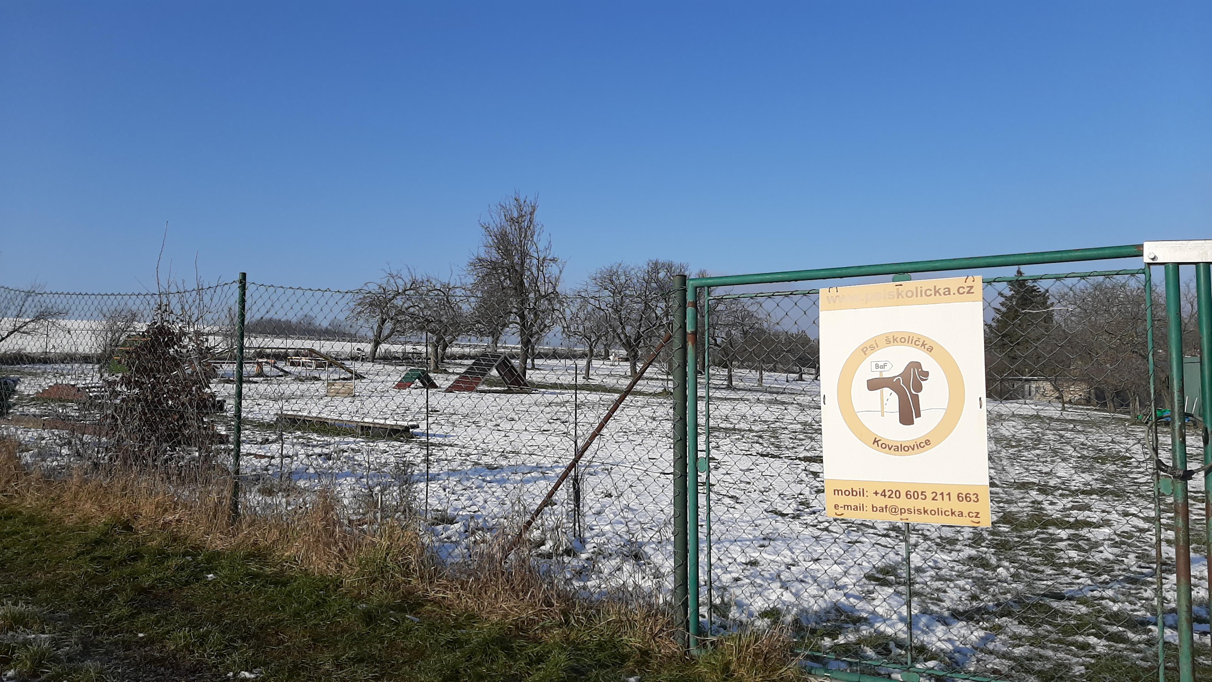Psí školička BaF foto 2