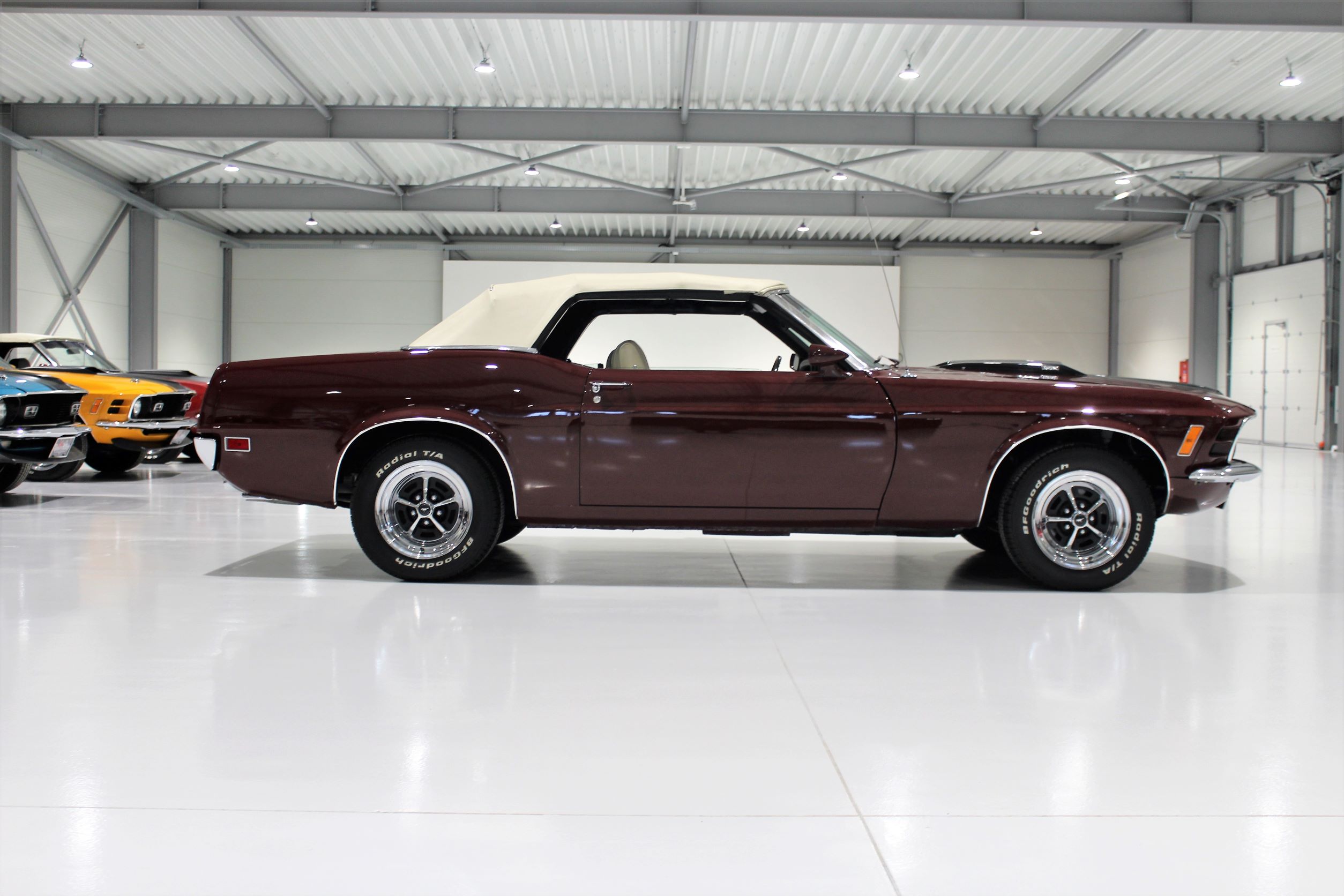 Toman Motors s.r.o. foto 3