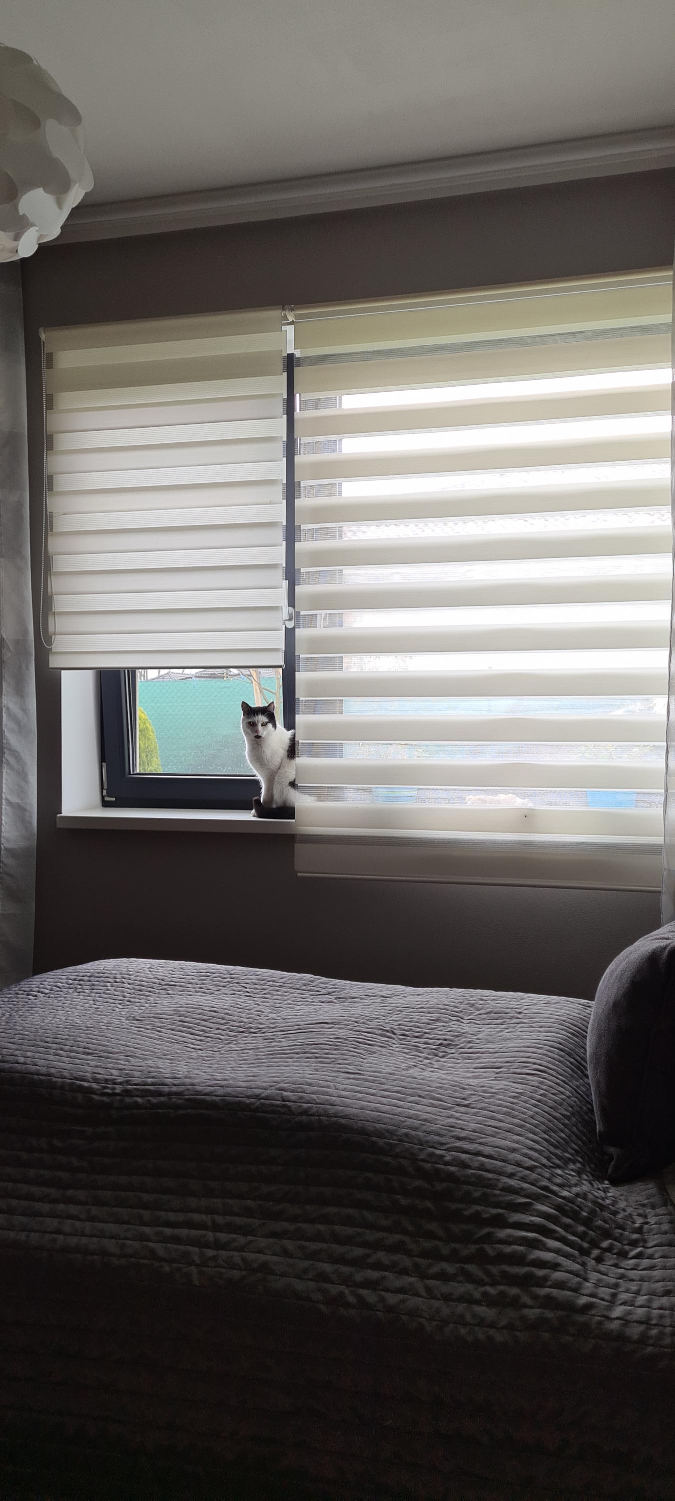 Livon žaluzie foto 2