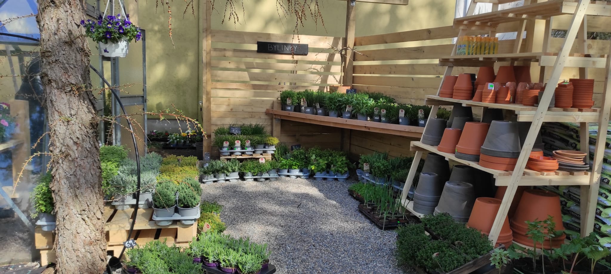 Zahradnictví U Vodičků foto 6