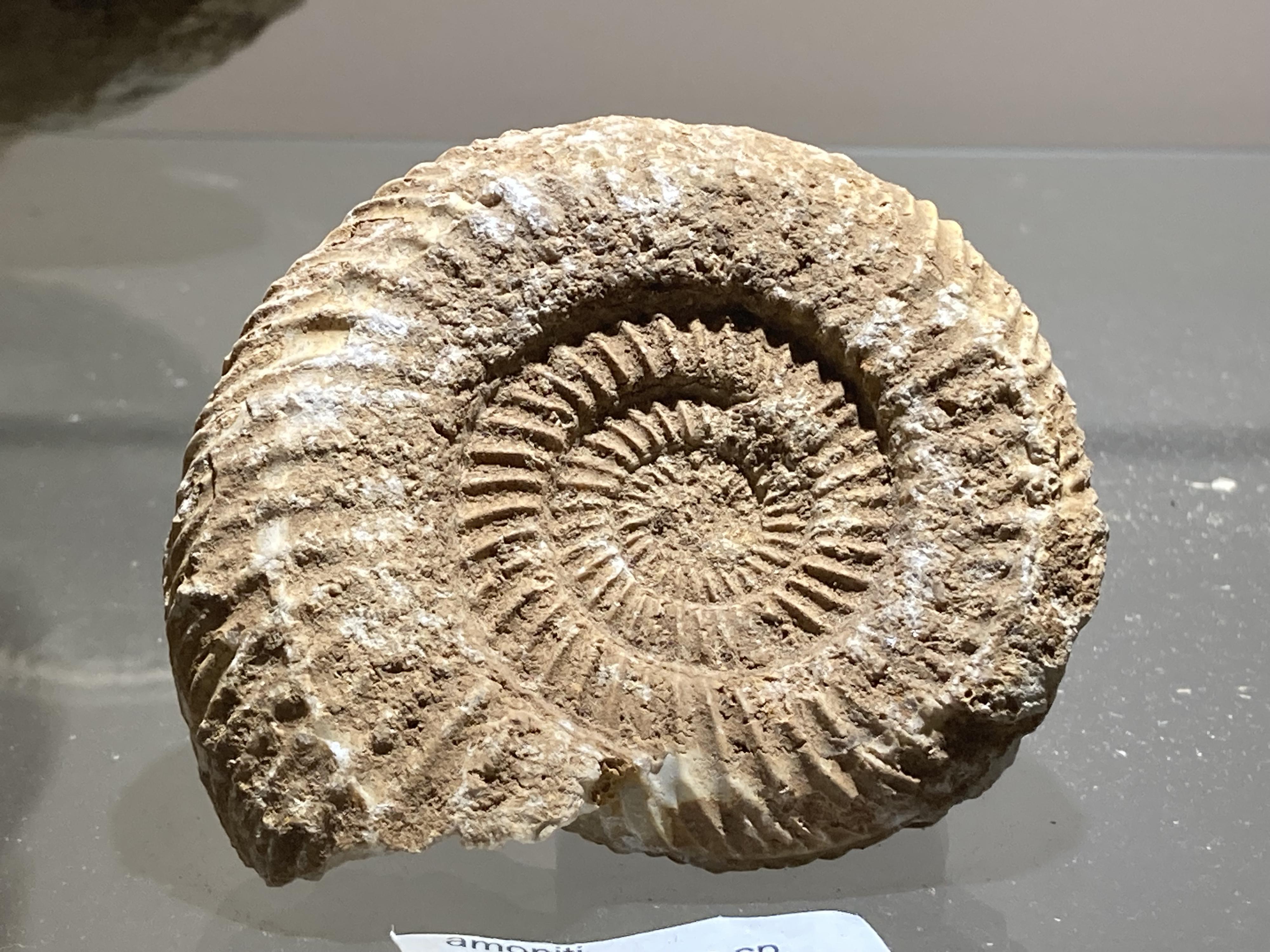 Fantazium foto 3