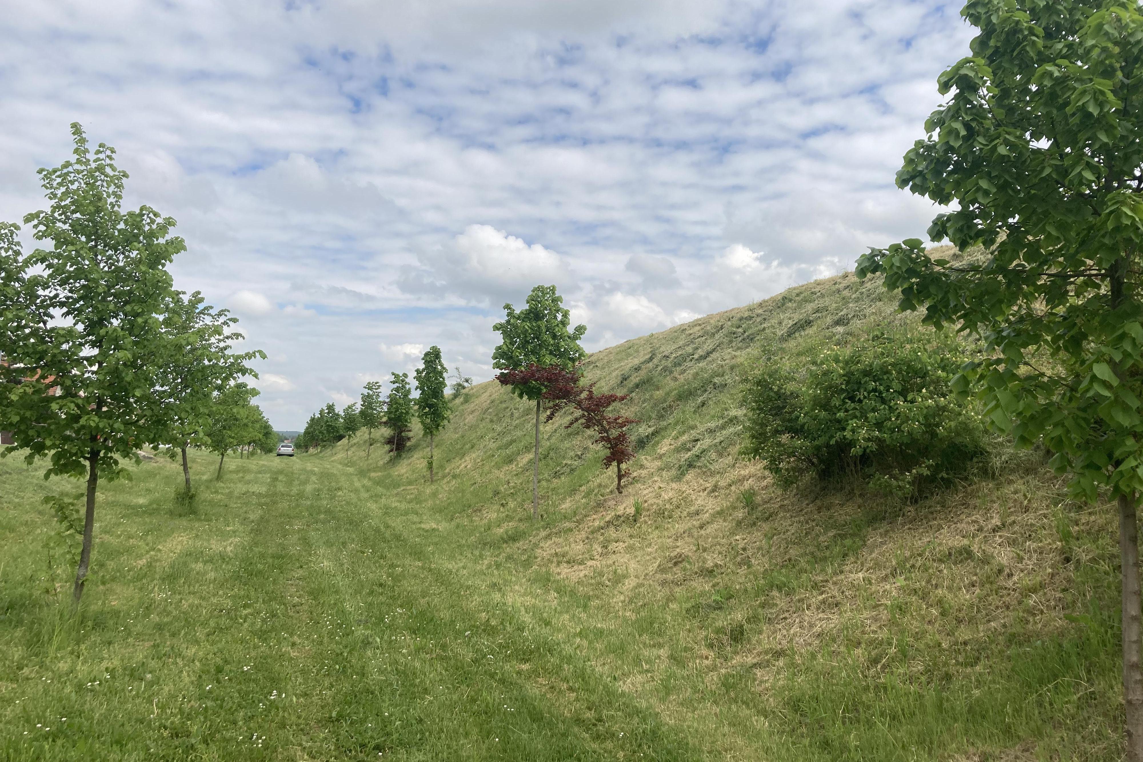 ÚDRŽBA ZELENĚ - SEČENÍ TRÁVY Jiří Panovec