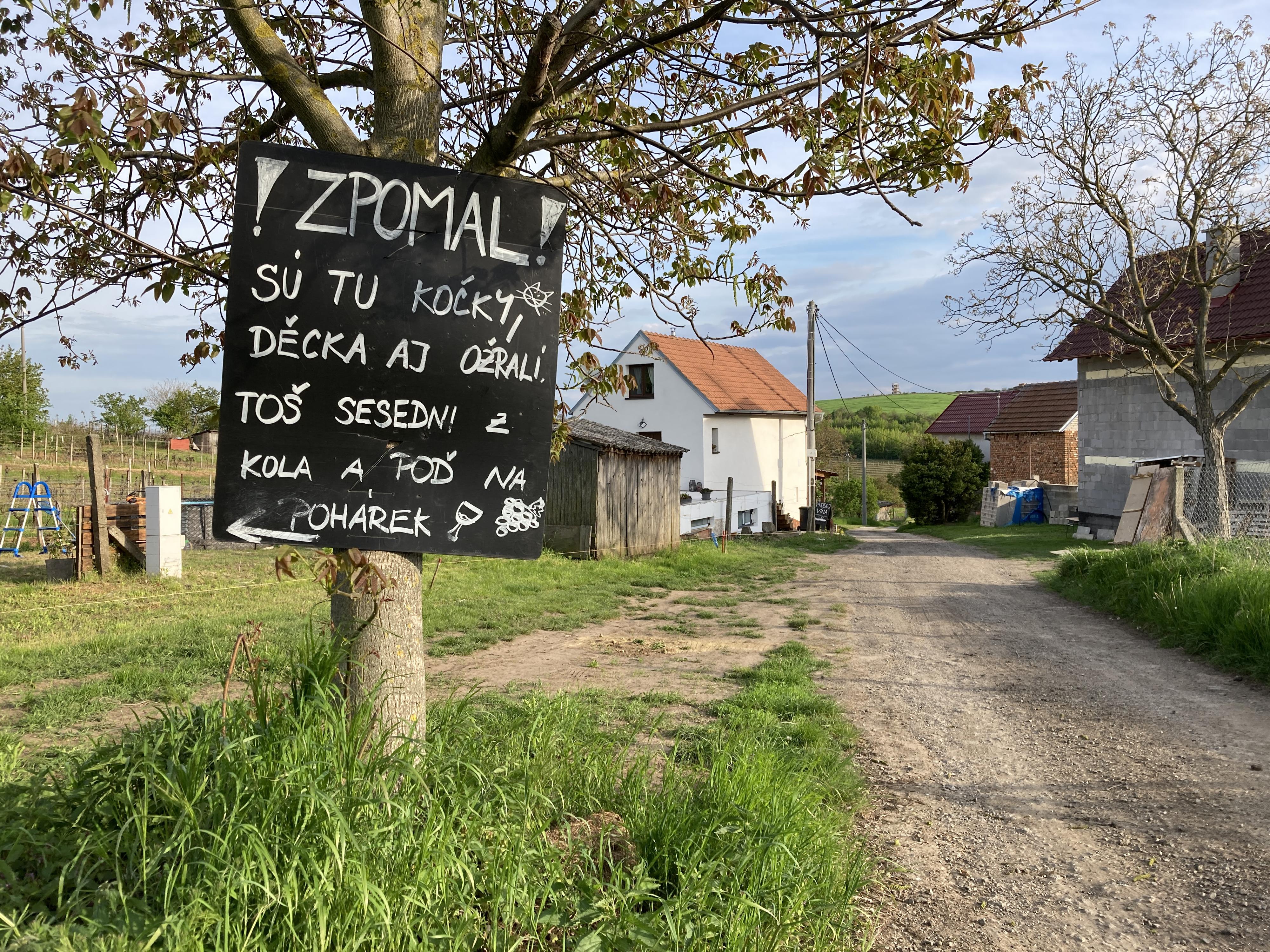 Vinařství Neckařovi foto 3