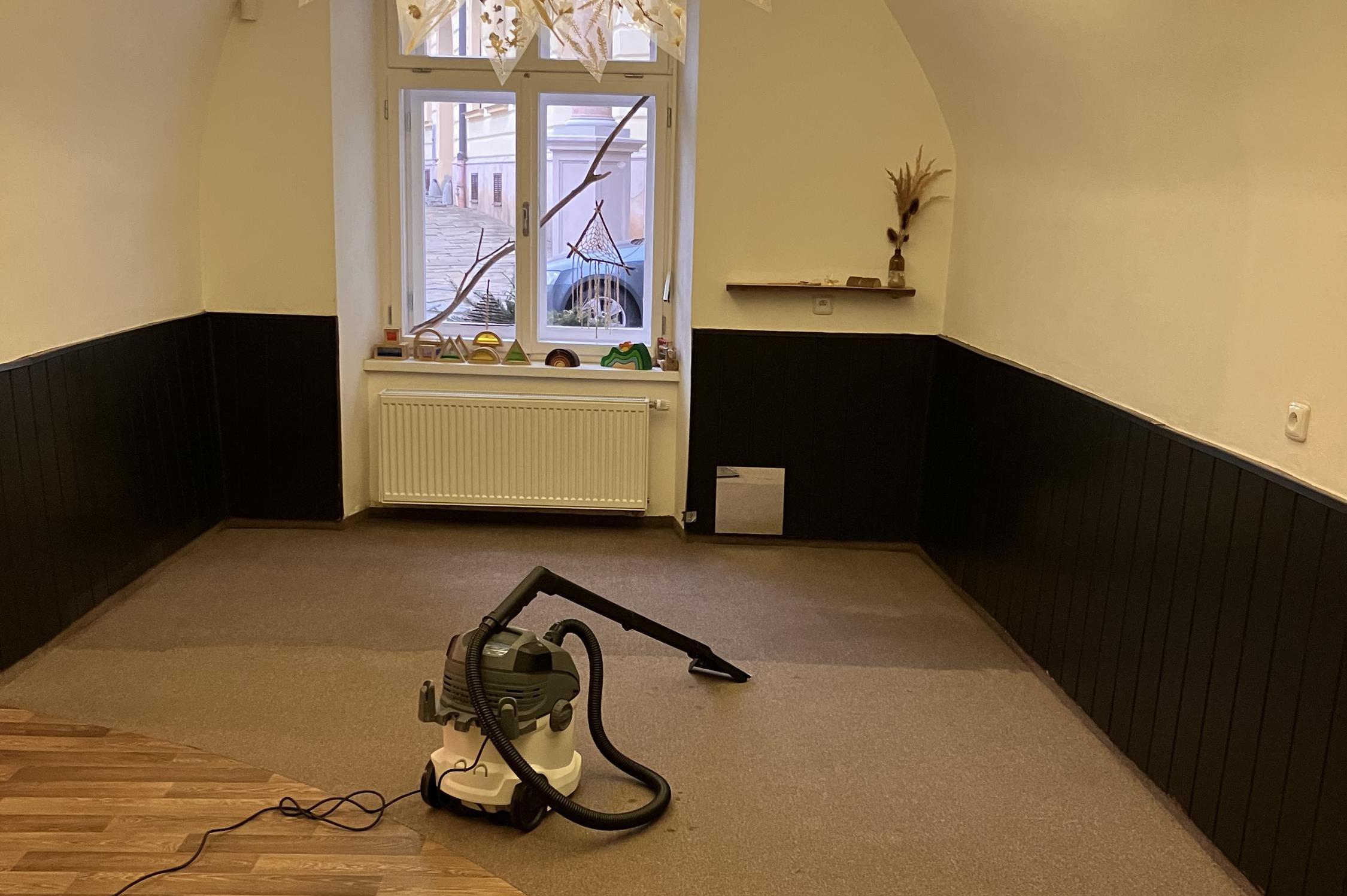 Profičištění - Zapletalová