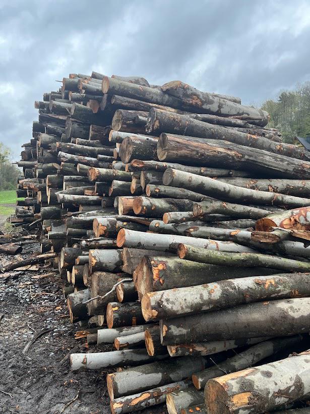 Prodej štípaného palivového dřeva - JK FOREST s.r.o foto 6