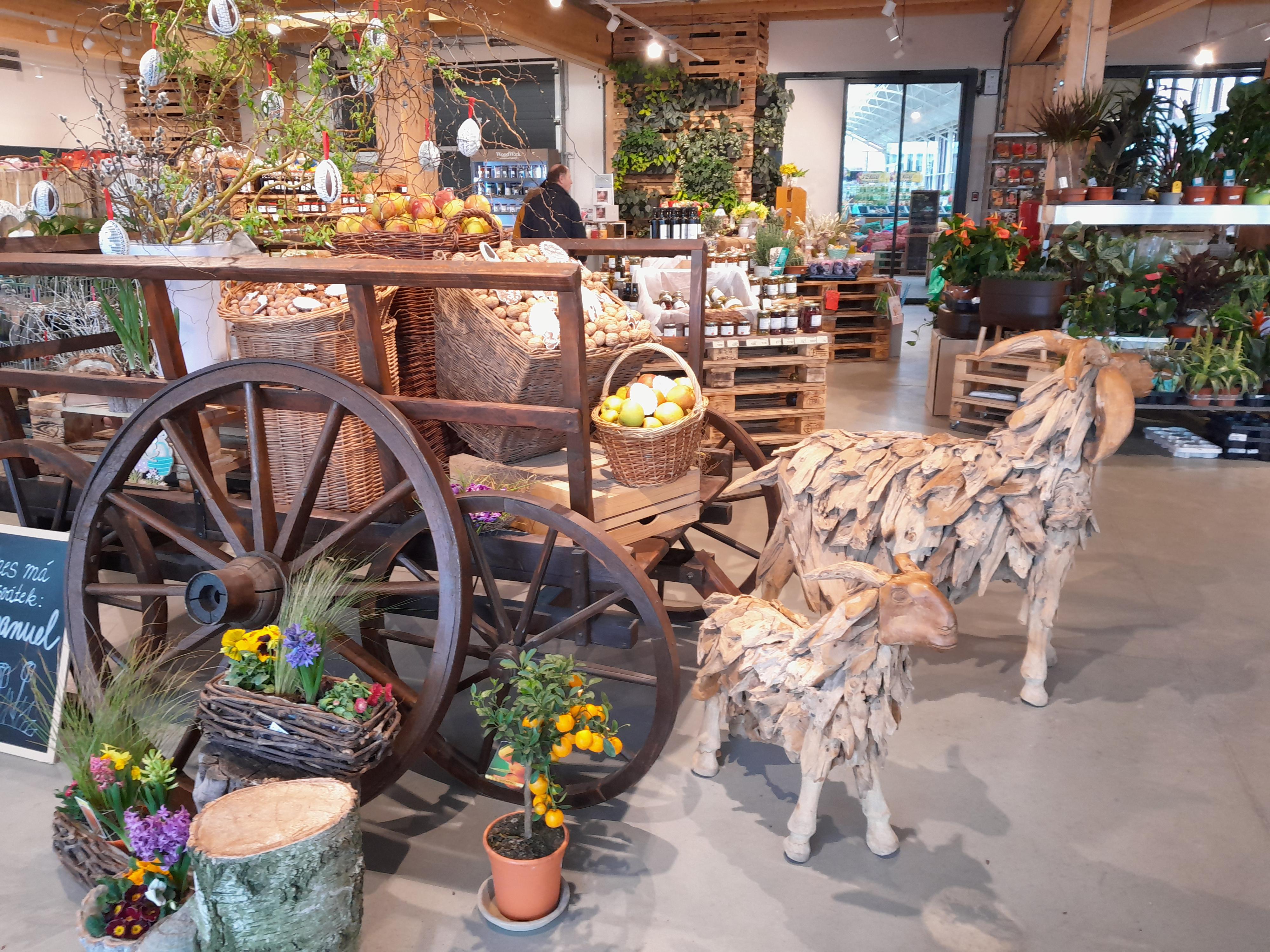 Zahradnictví Farma Hanč foto 4