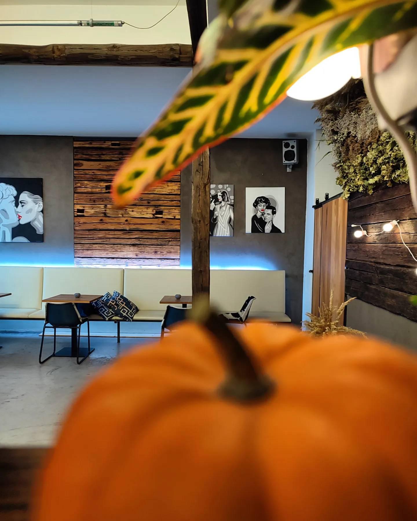 Wake Up Wellness Hostel foto 6