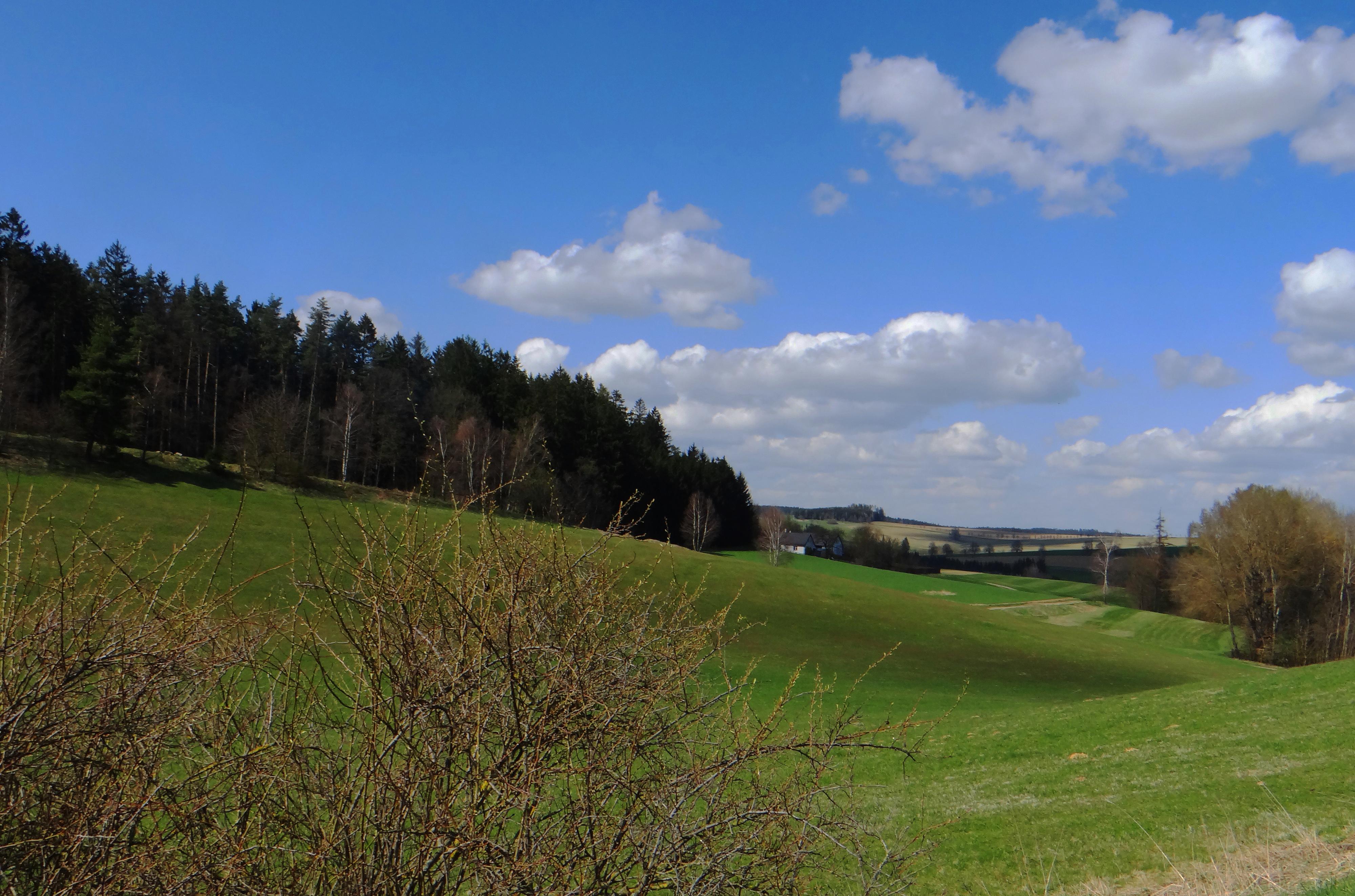 Na Samotě u Lesa foto 6