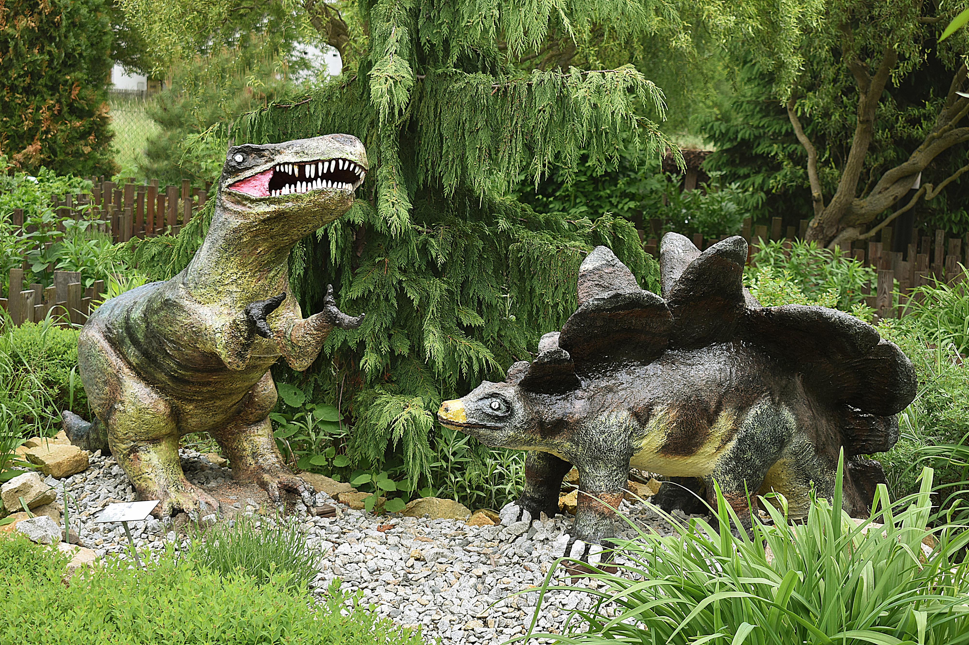Fantazium foto 2