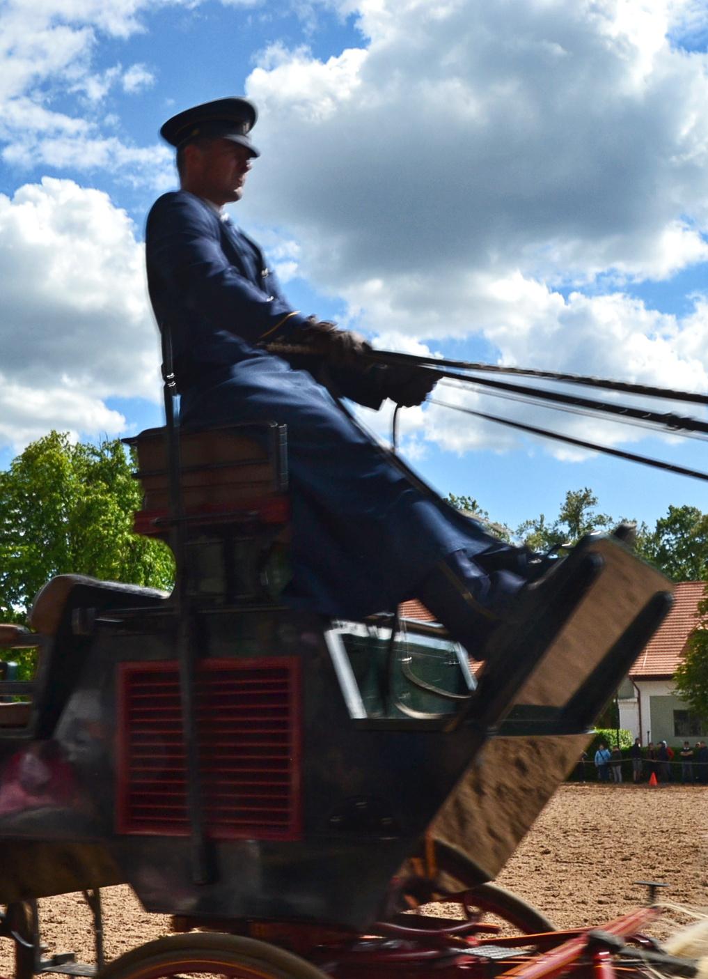Národní hřebčín Kladruby nad Labem, státní příspěvková organizace foto 6