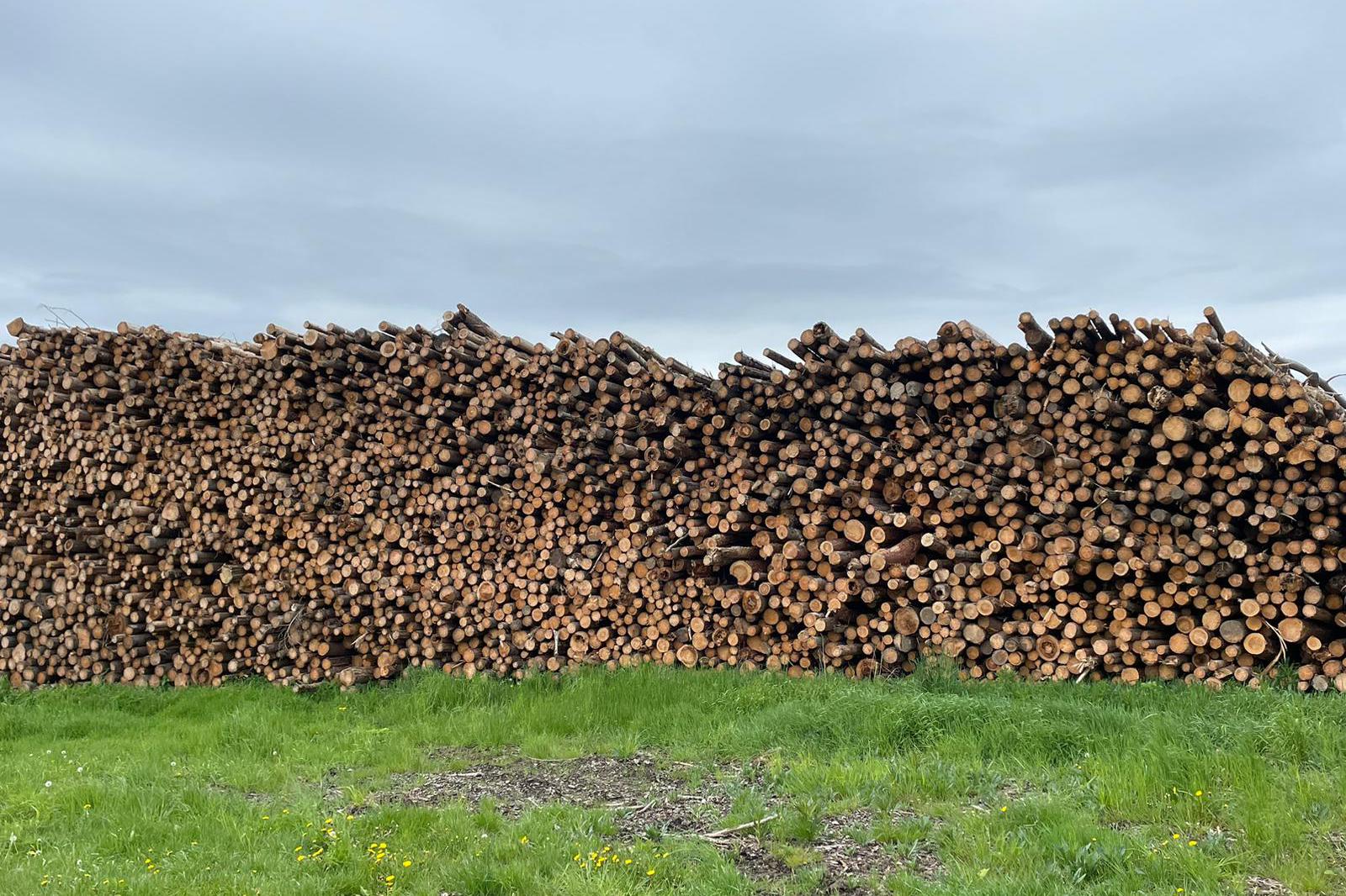 Prodej palivového dříví Karel Starý