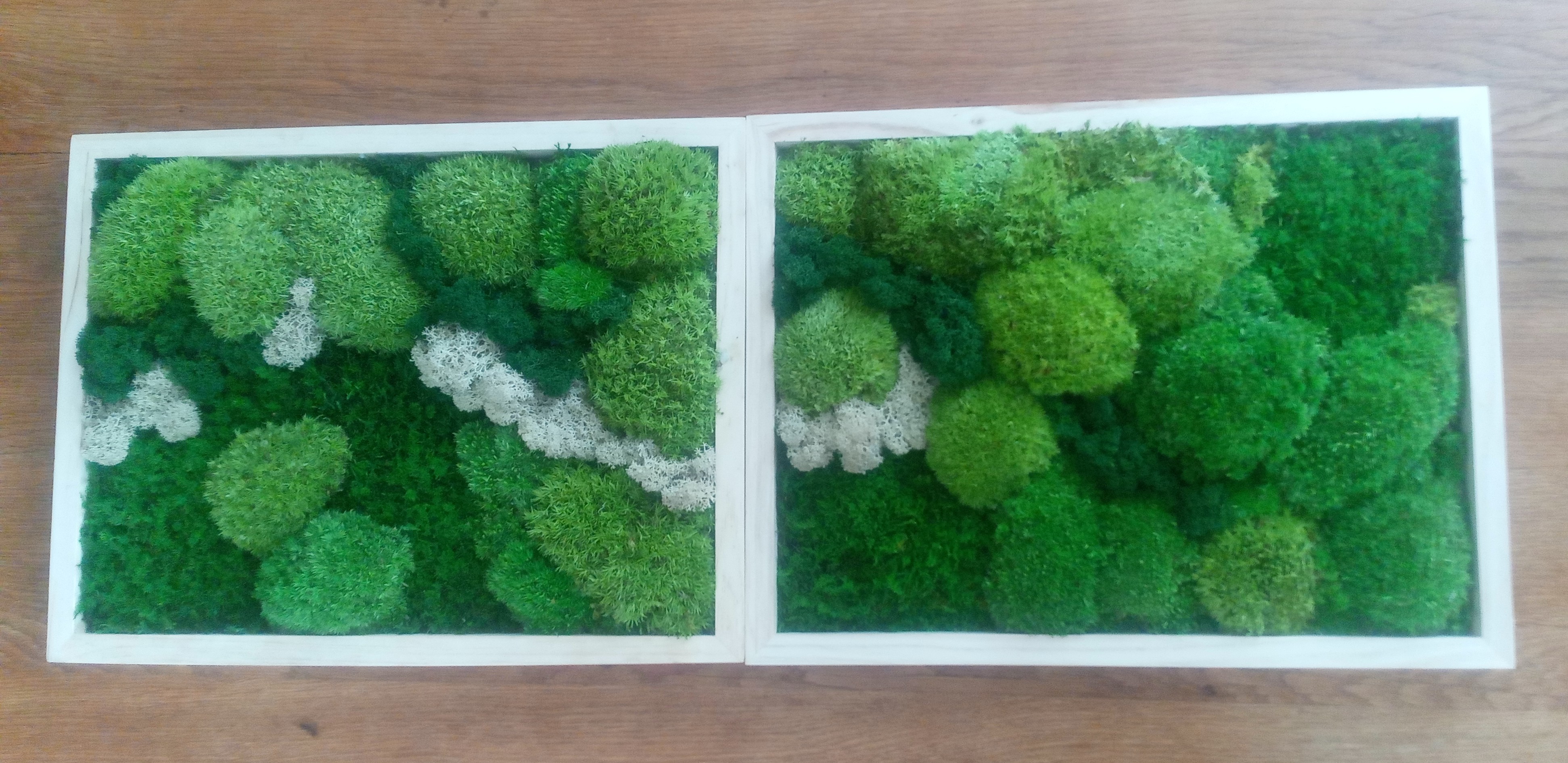 Miriam Design foto 4