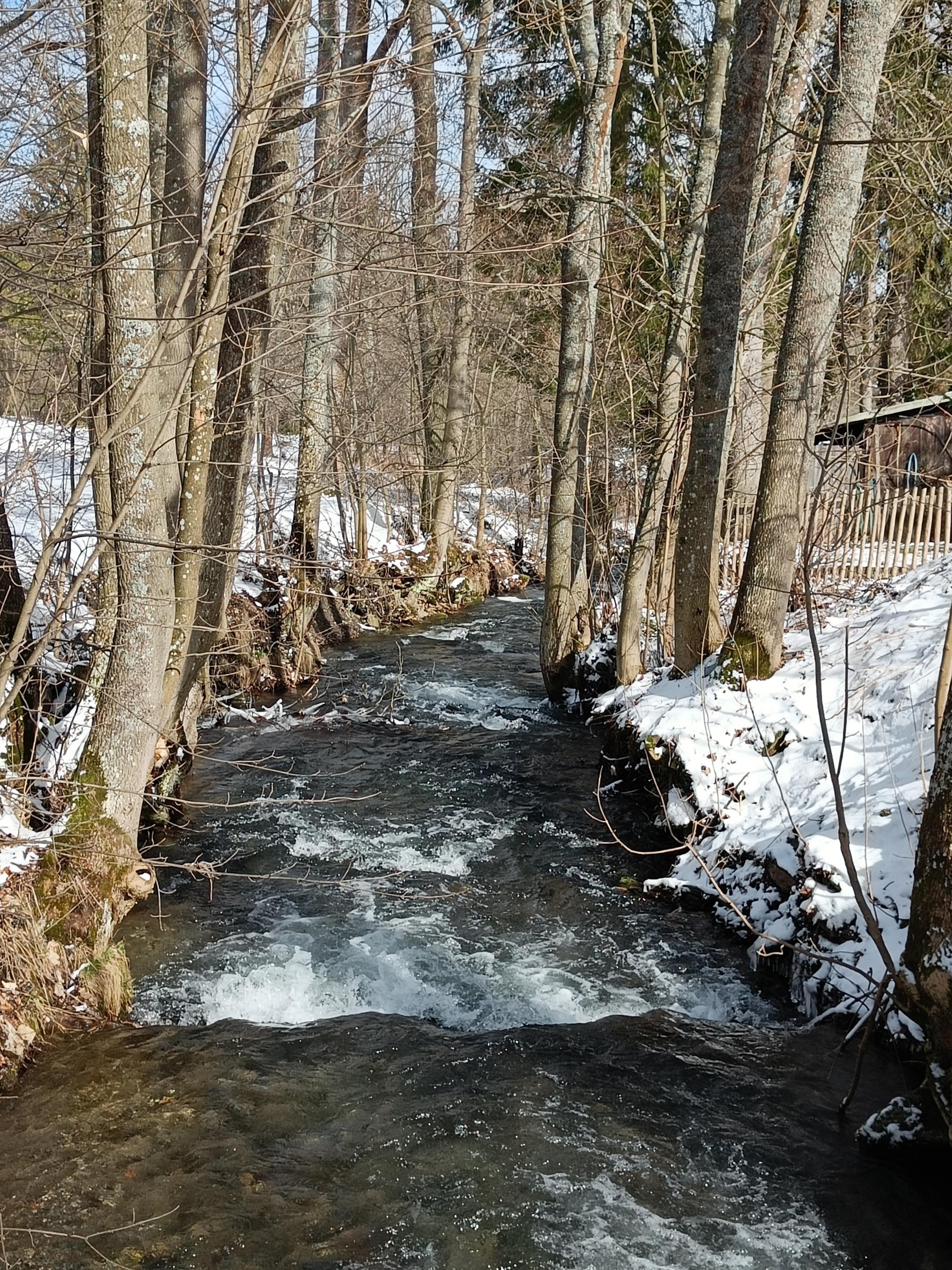 Yoga point v Karlově pod Pradědem foto 1