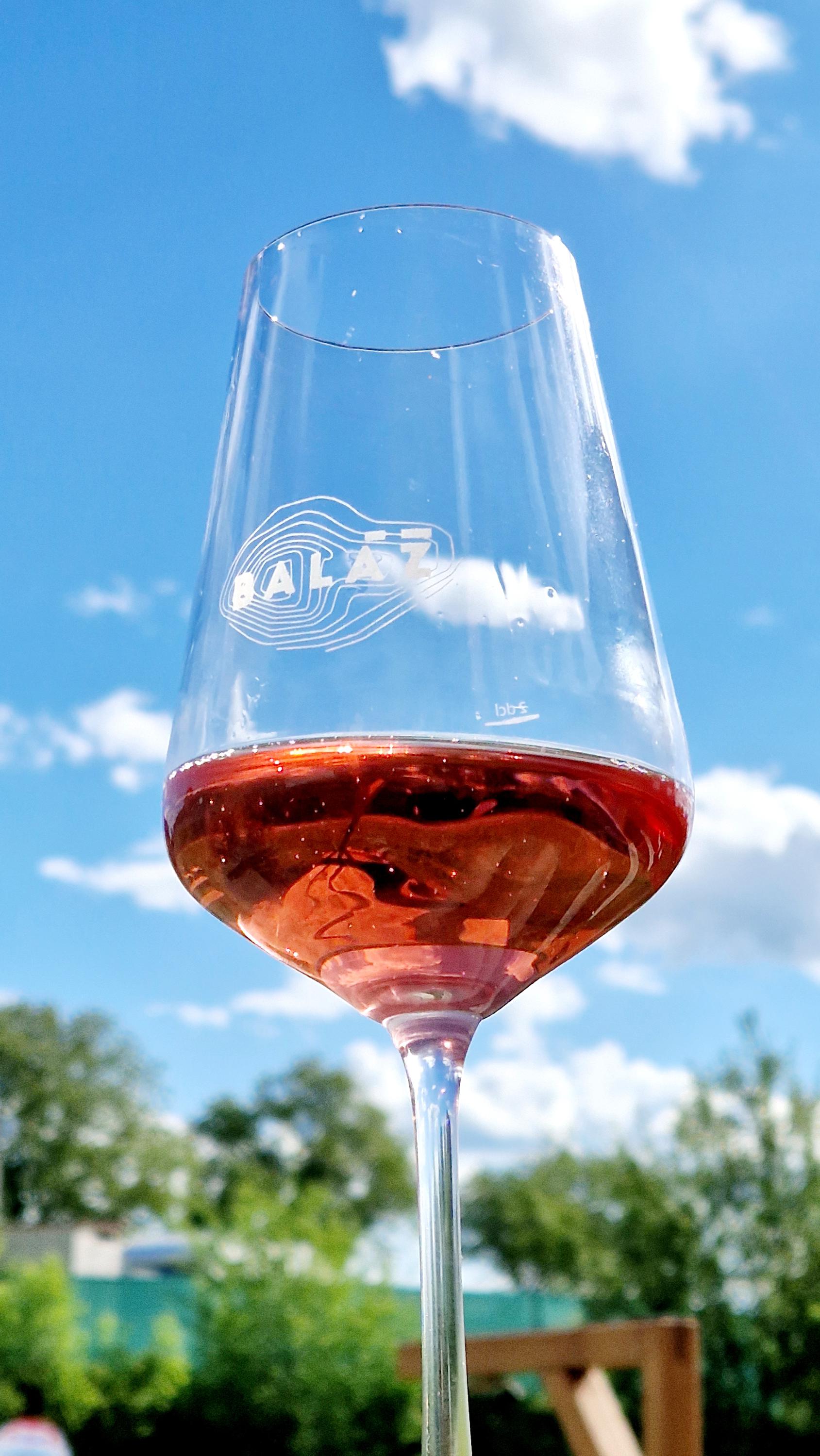 Vinotéka Radim foto 6