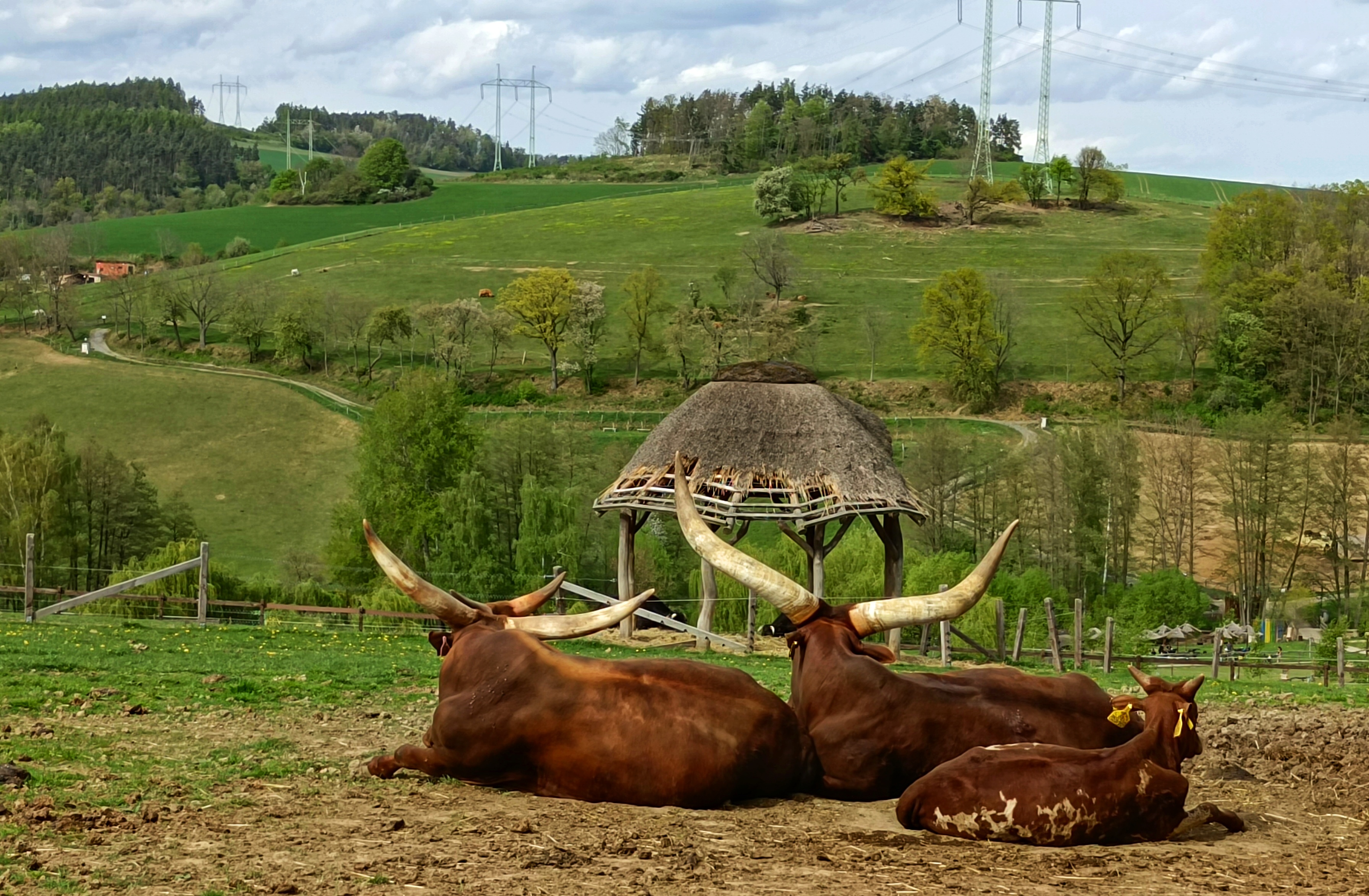 FARMAPARK foto 6