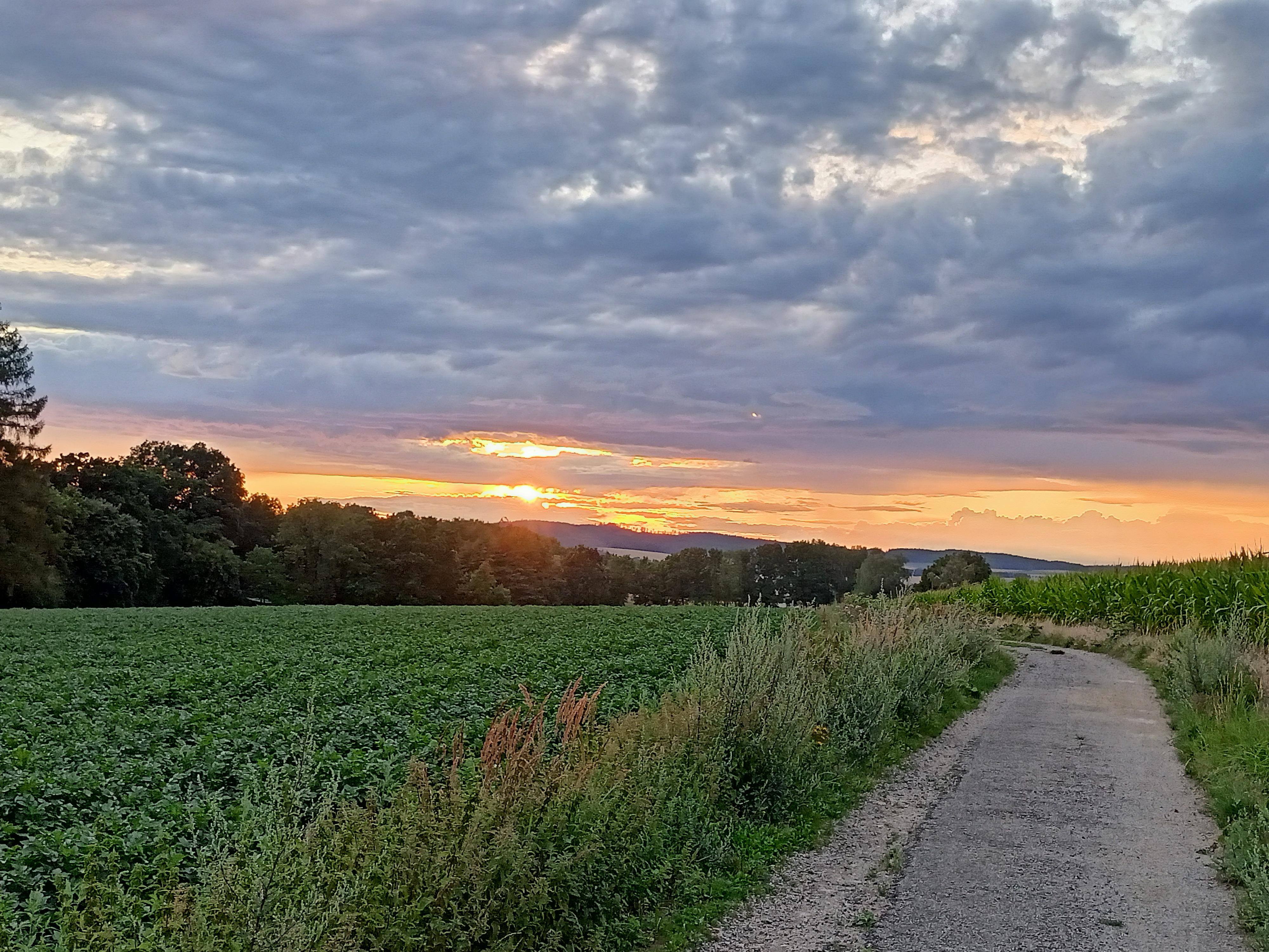 Koučink Natálie Viochnová foto 6