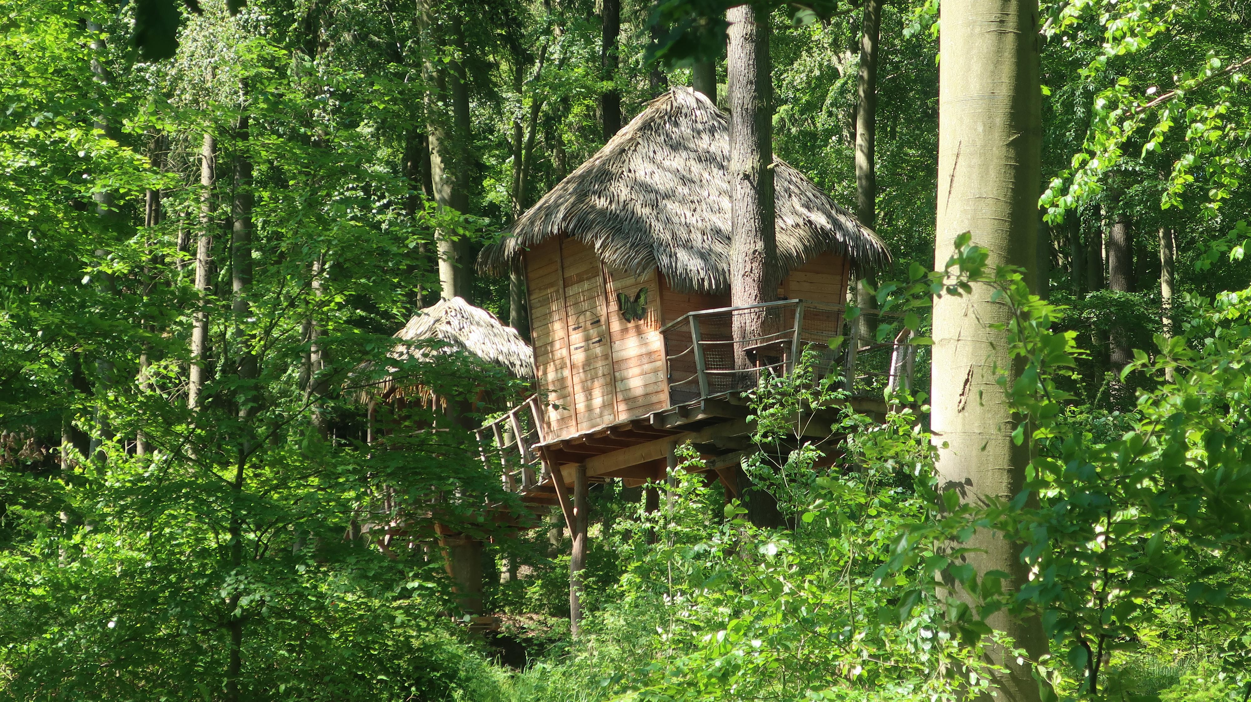 Tree house Sojčí hnízdo foto 5