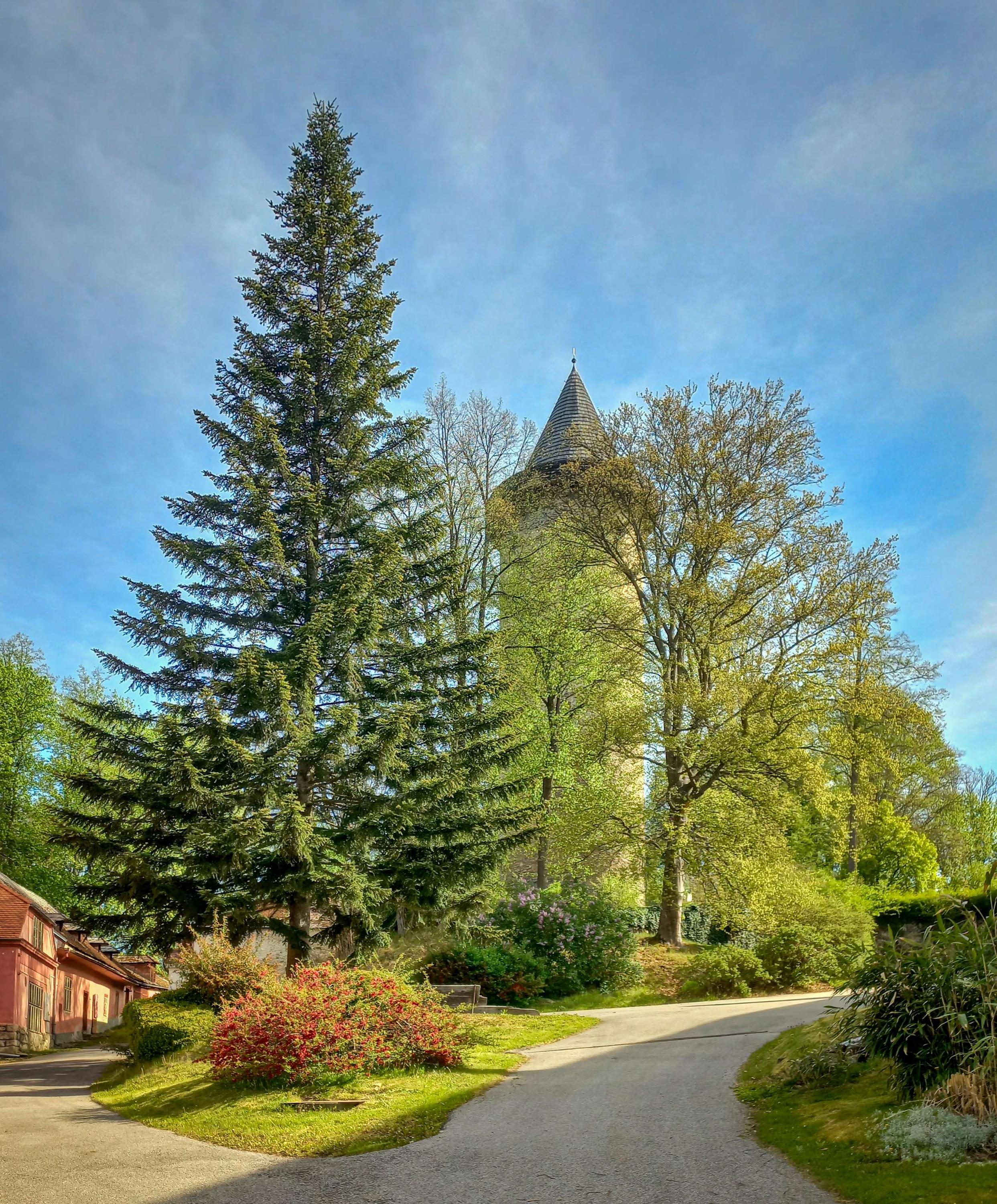 Státní hrad Rožmberk foto 6