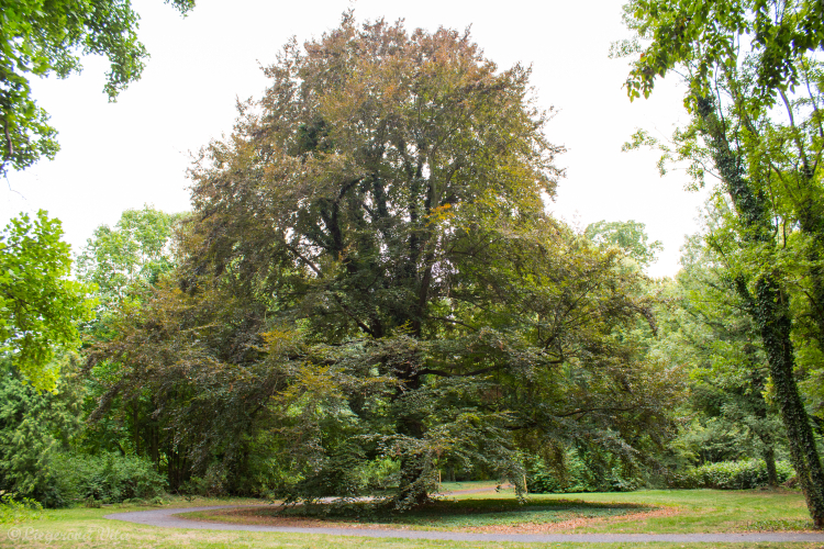 Zámek Měšice foto 3