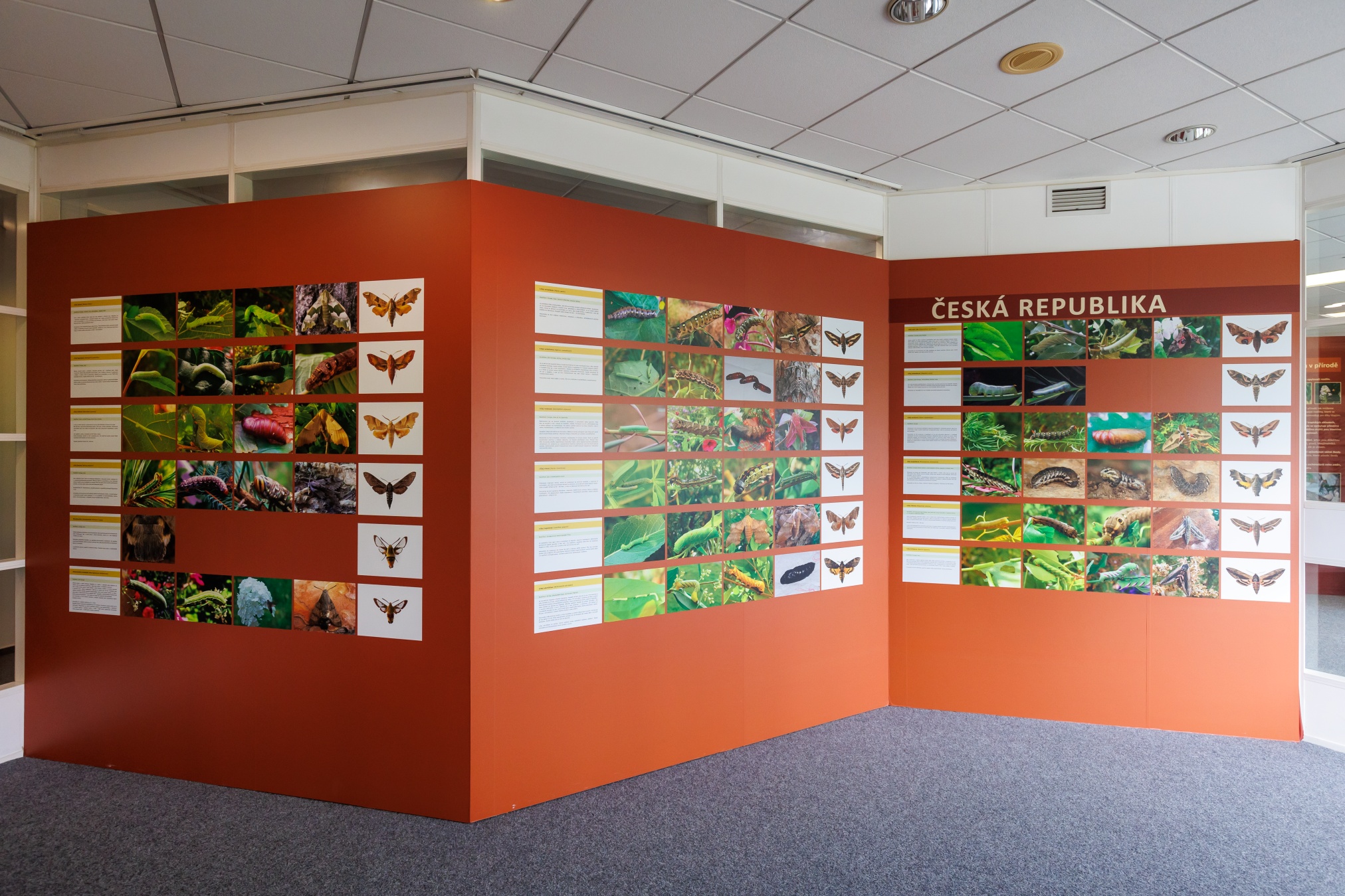 Ekologické centrum Orlov, o.p.s.