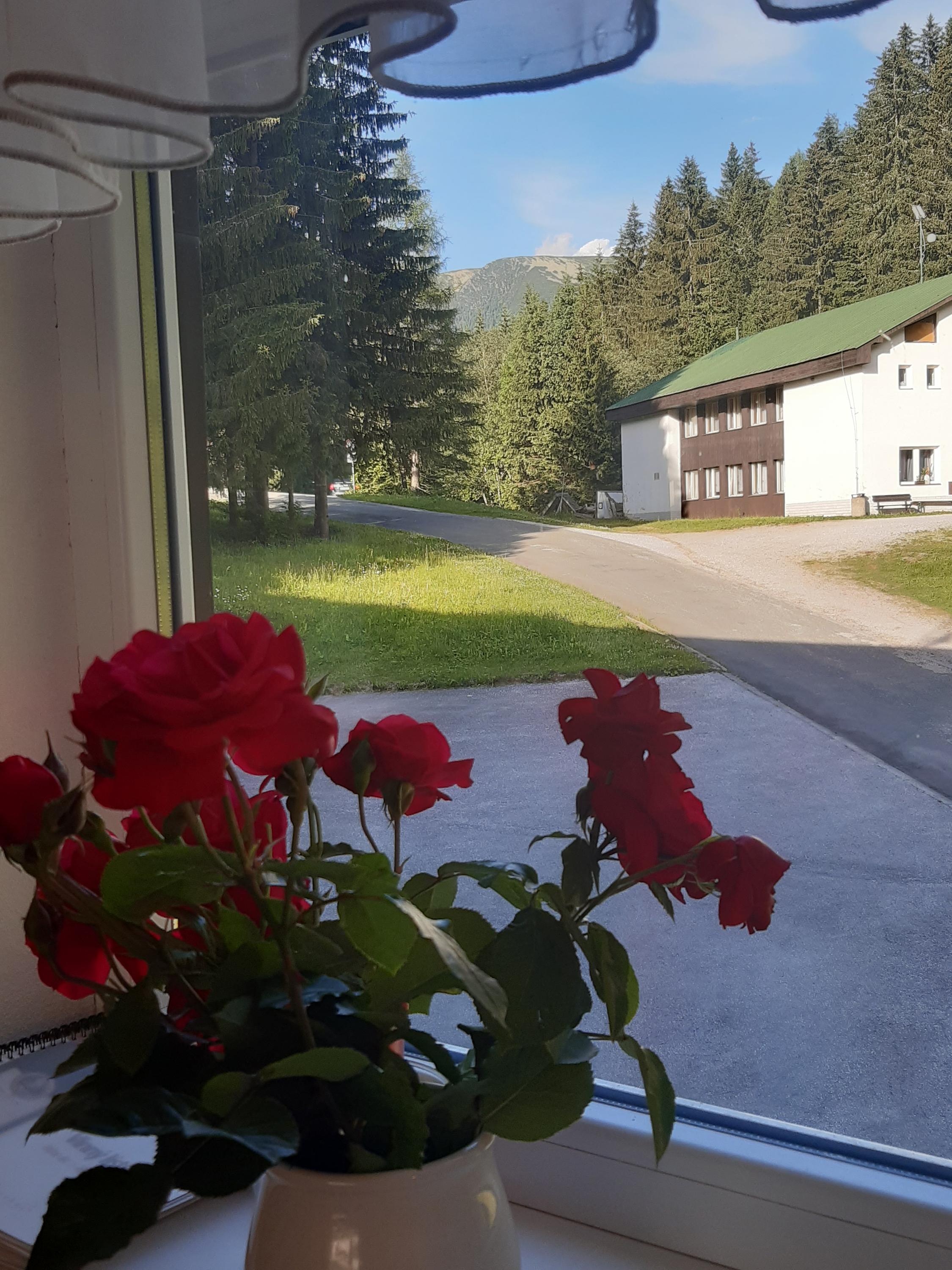 Restaurace Hotelu Lenka foto 5