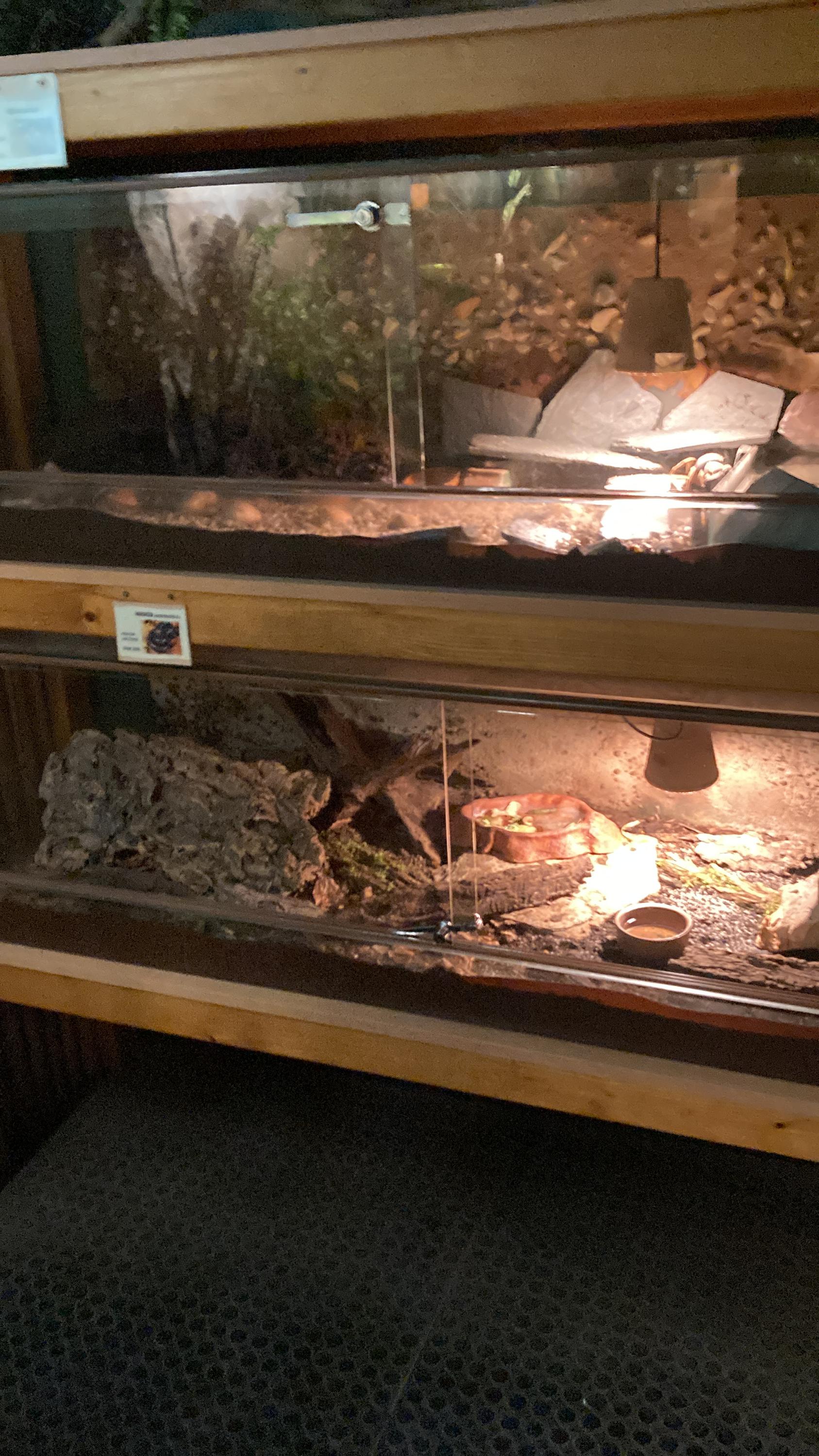 Galerie Zdeňka Buriana foto 5