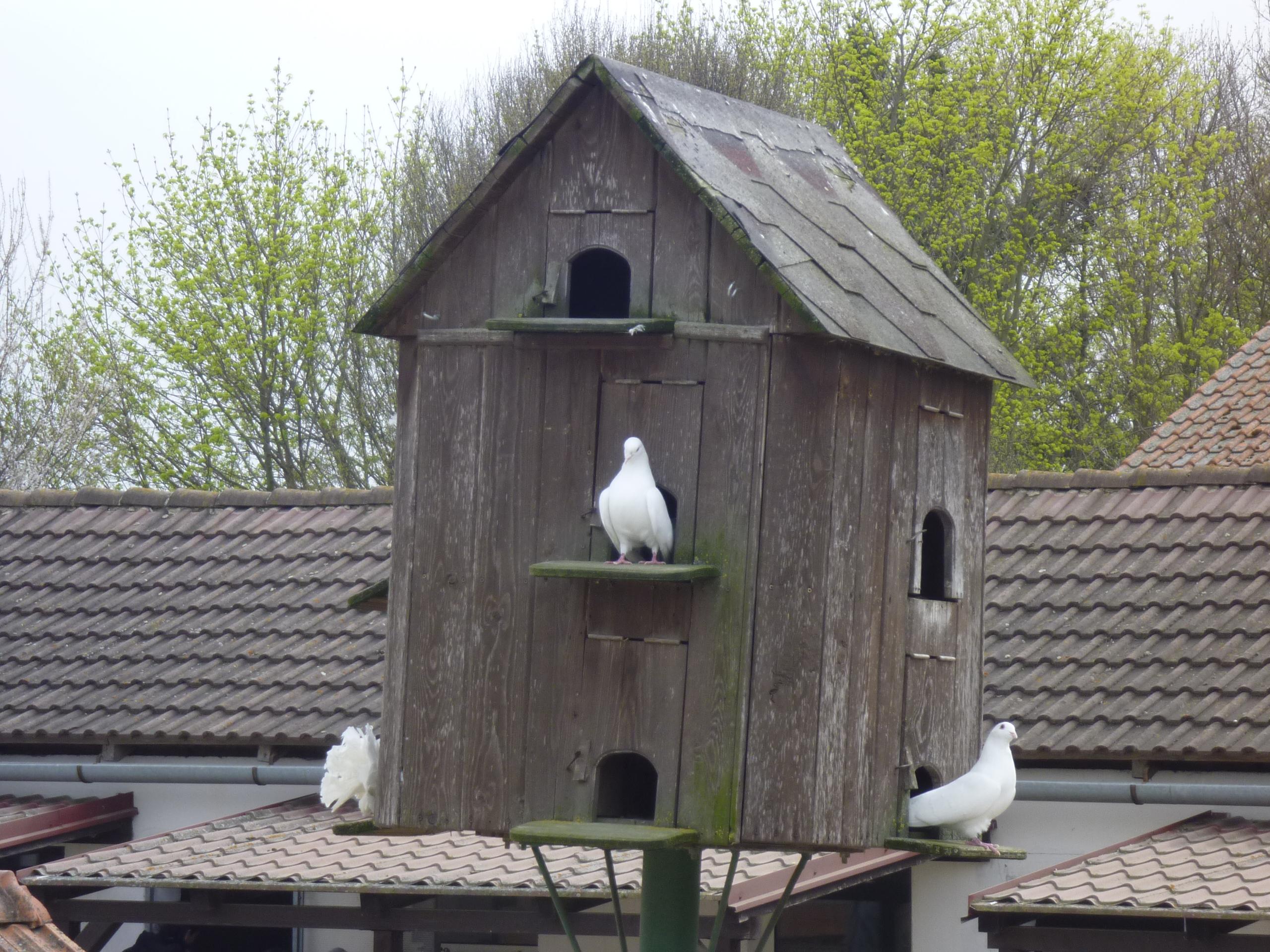 ZOO PARK Vyškov foto 6
