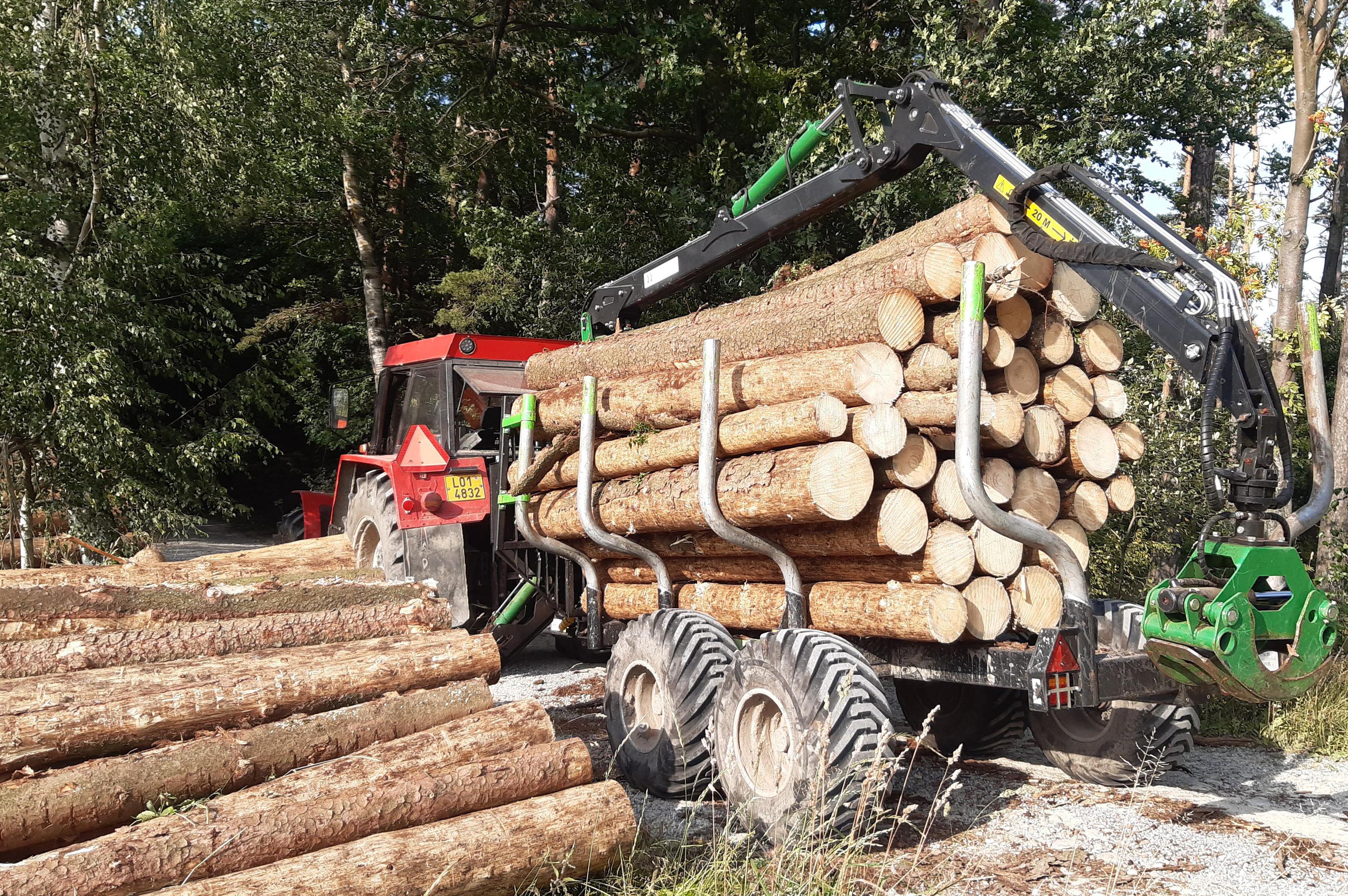 Lesnická činnost Jan Čech