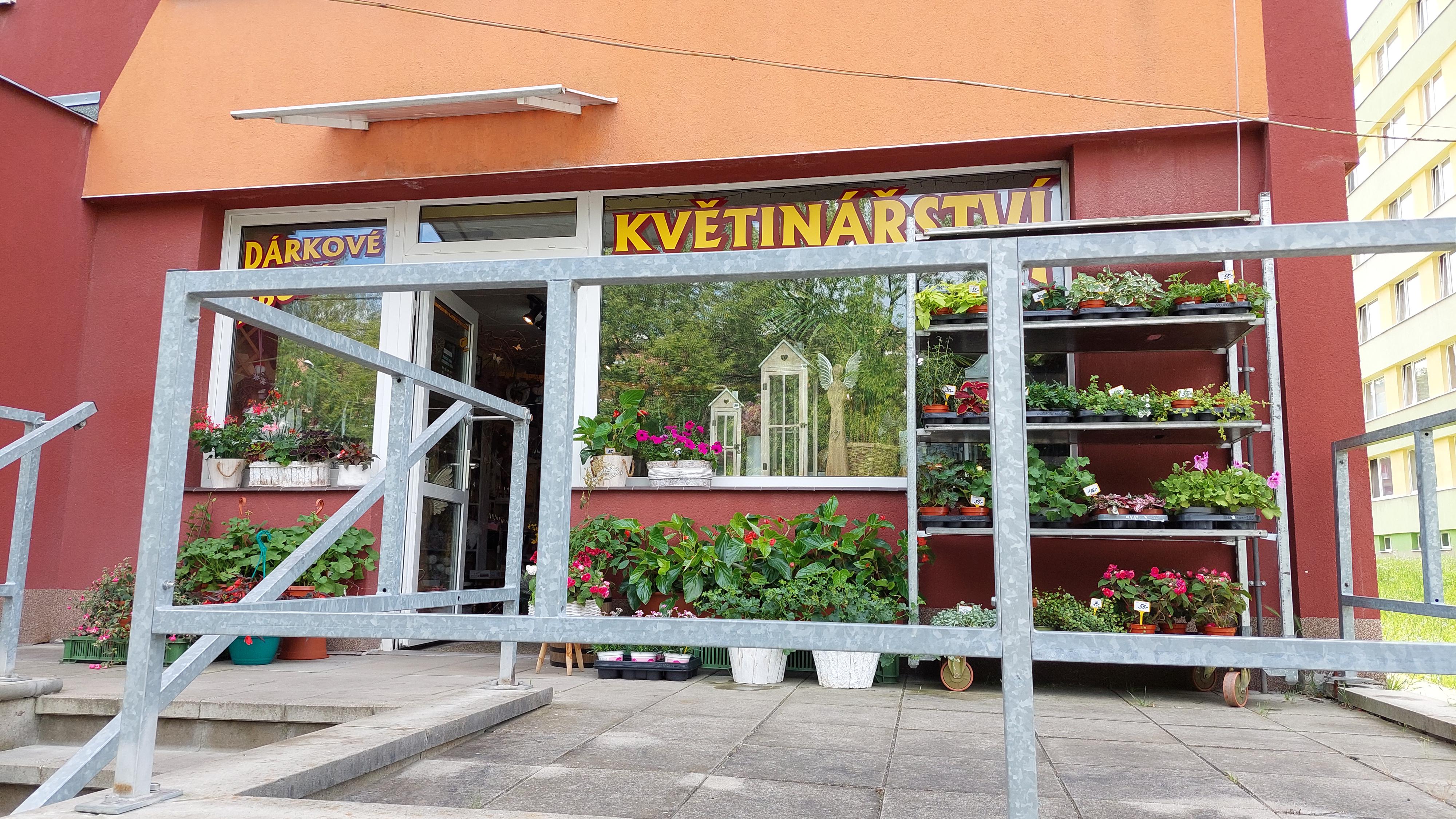 Květiny Violla foto 2