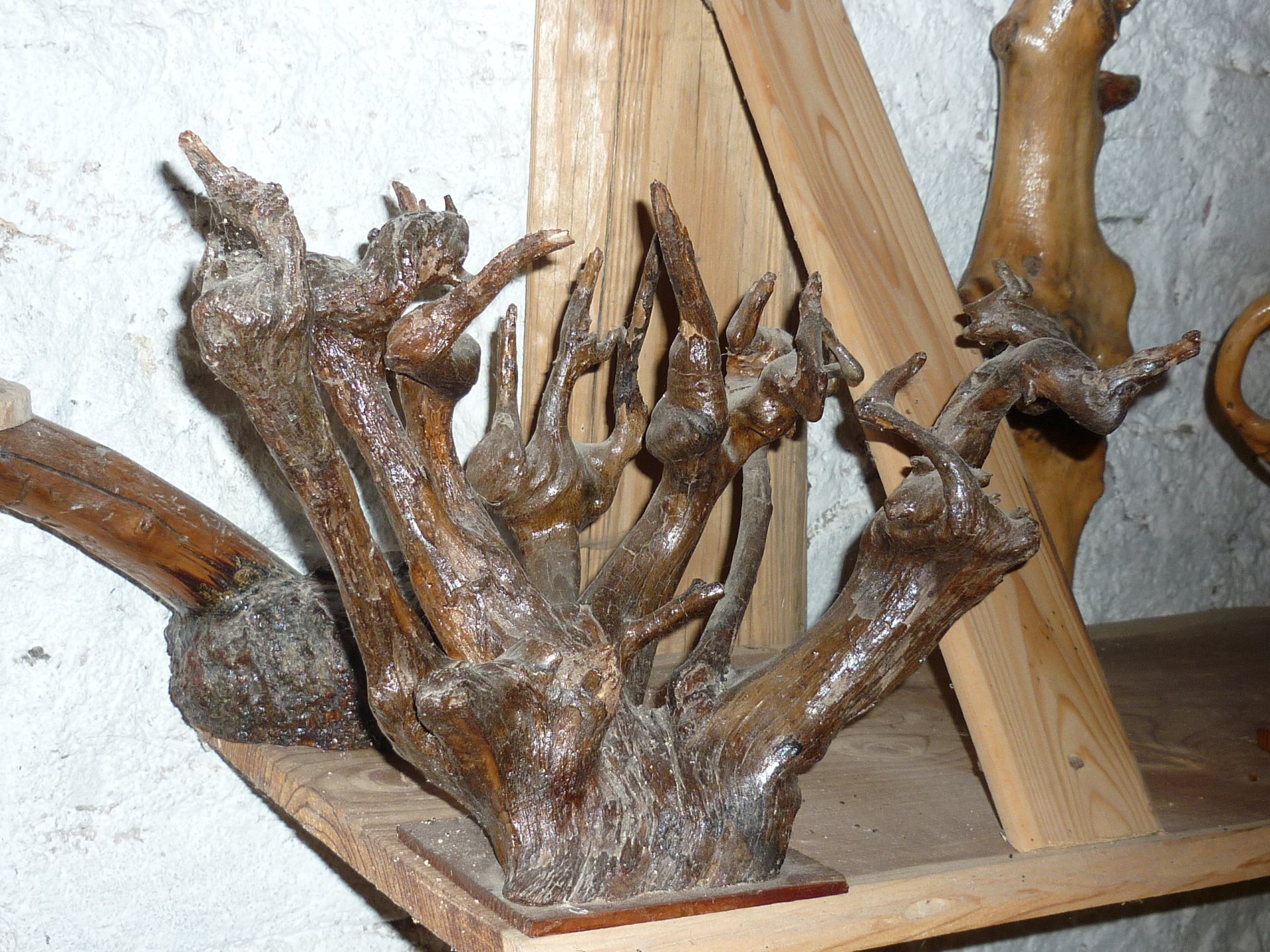 Muzeum samorostů foto 6