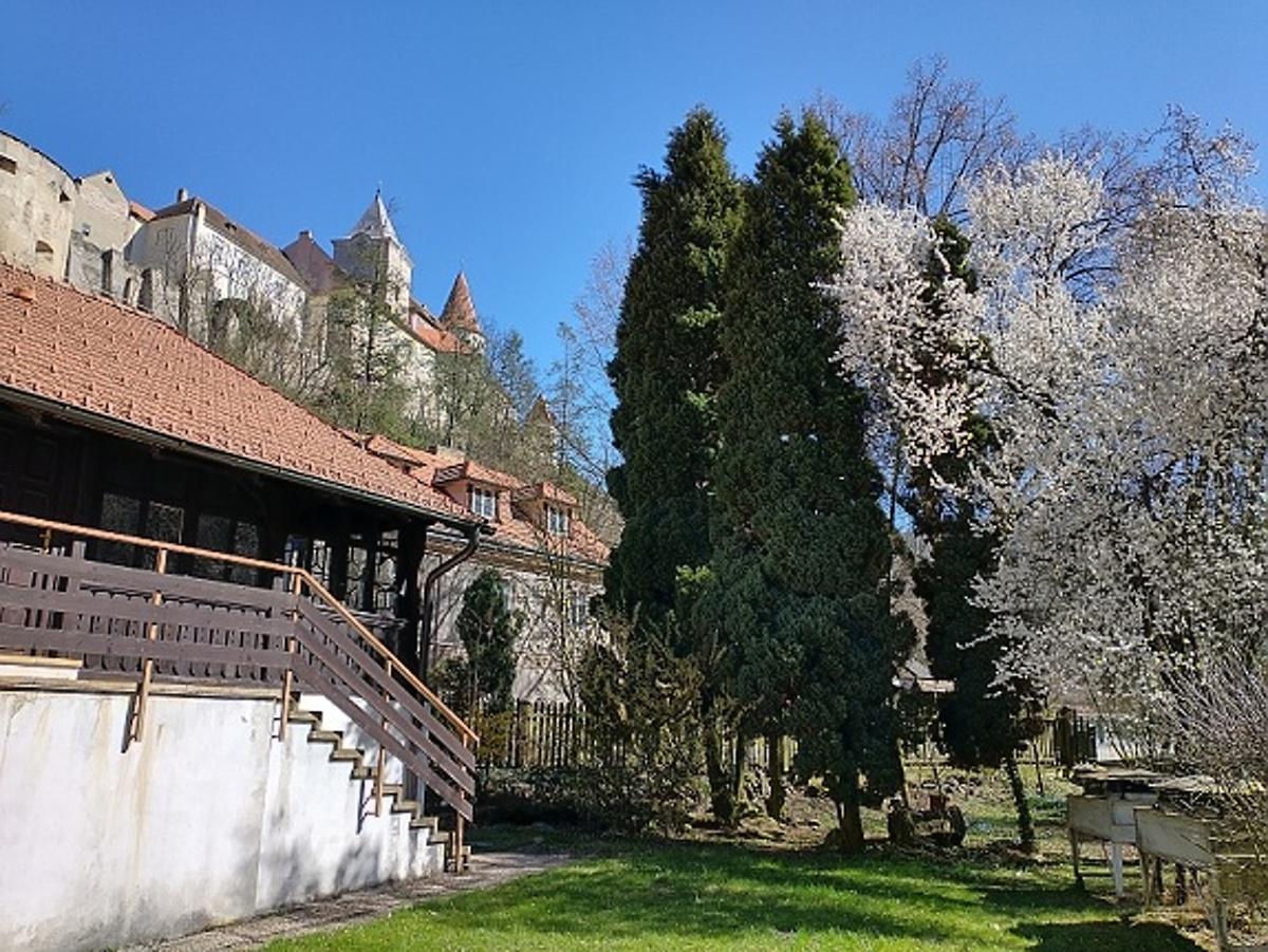 Informační středisko CHKO Křivoklátsko - Křivoklát foto 4