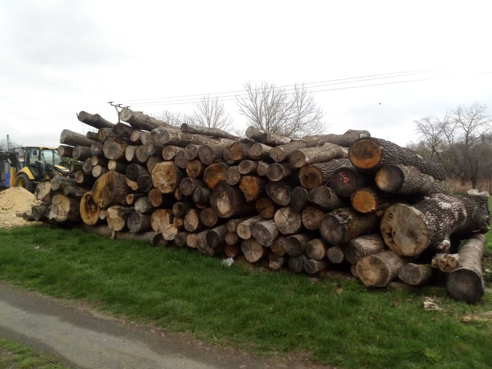 Dřevo na topení Kadlec foto 2