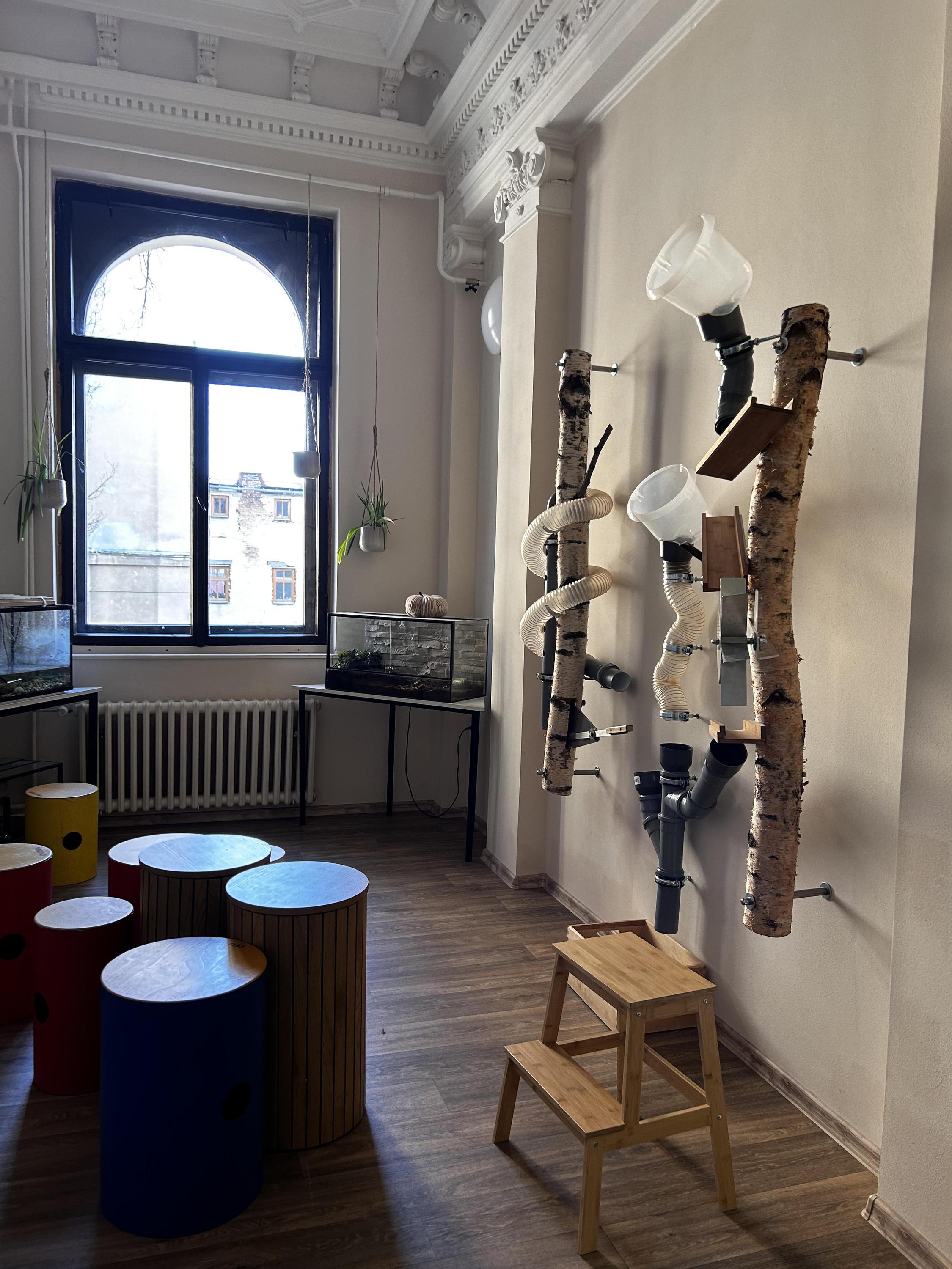 Dům dětí a mládeže Vikýř foto 5