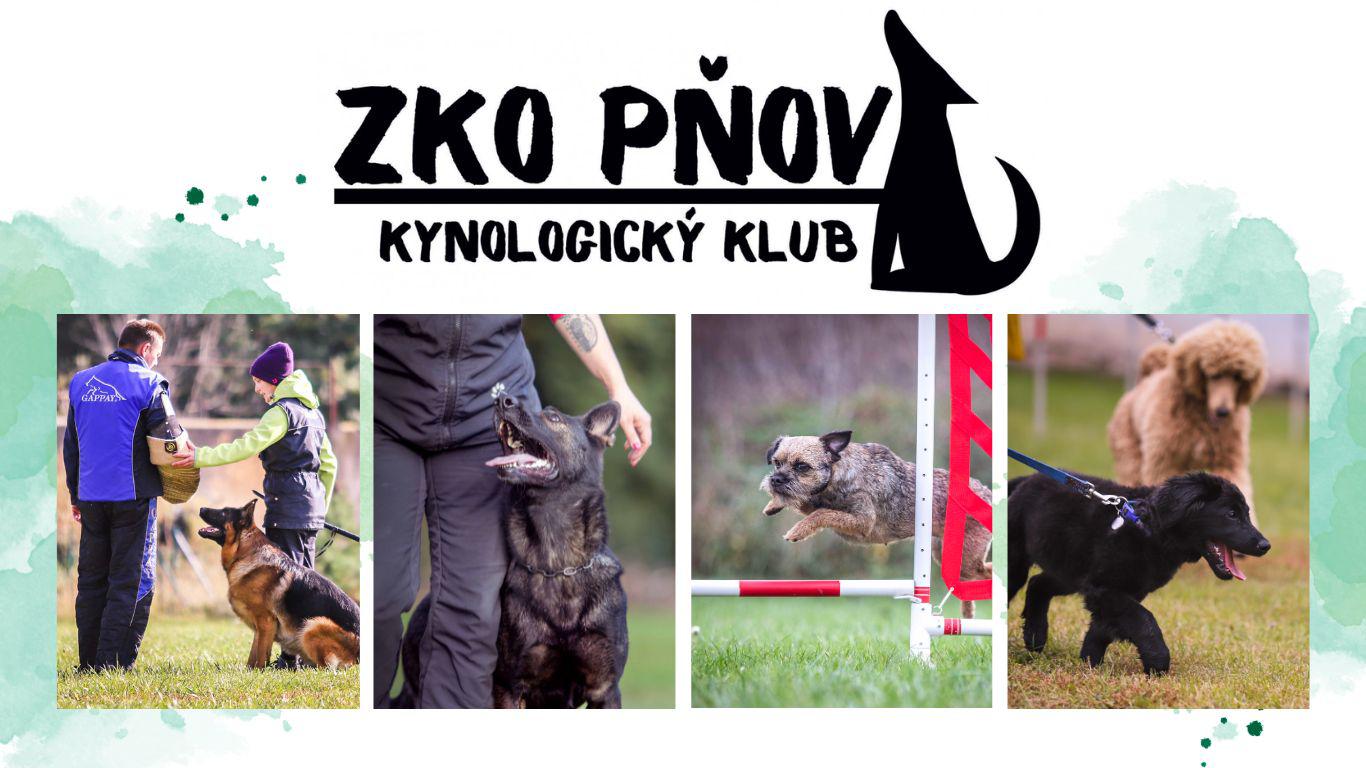 Kynologický klub Pňov foto 4