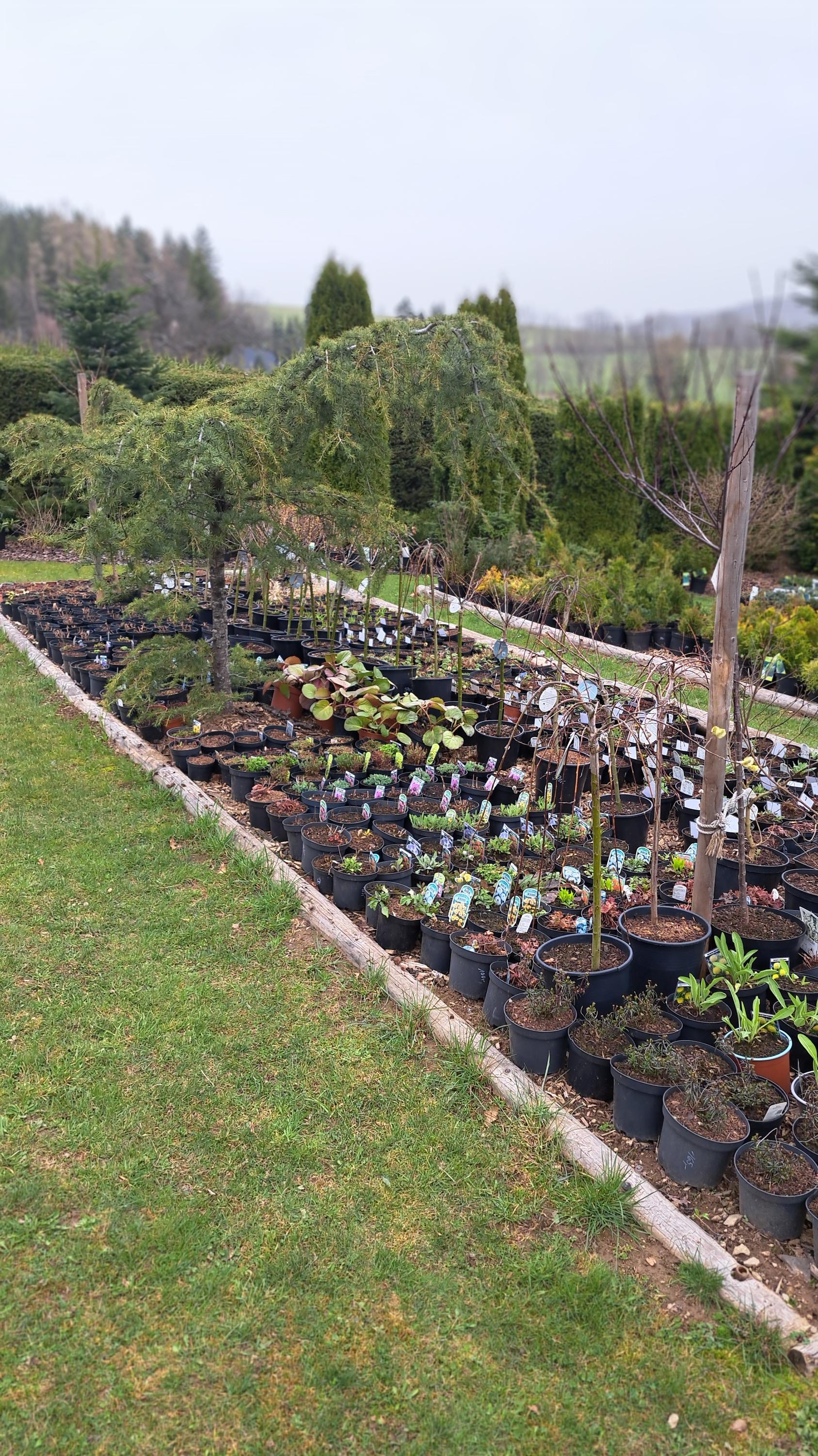 Zahradnictvi u Lizu foto 5