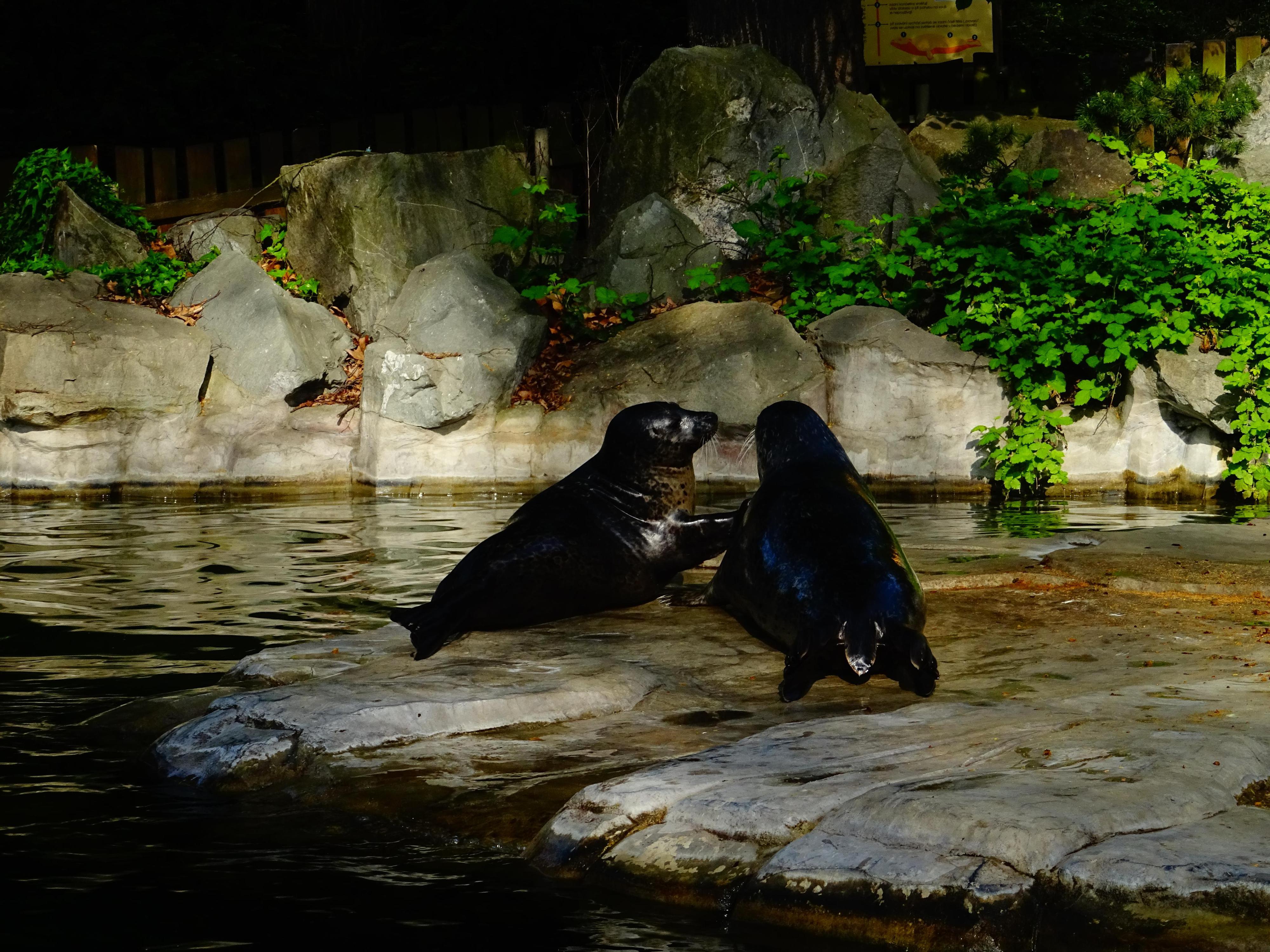 Zoologická zahrada Ústí nad Labem foto 6